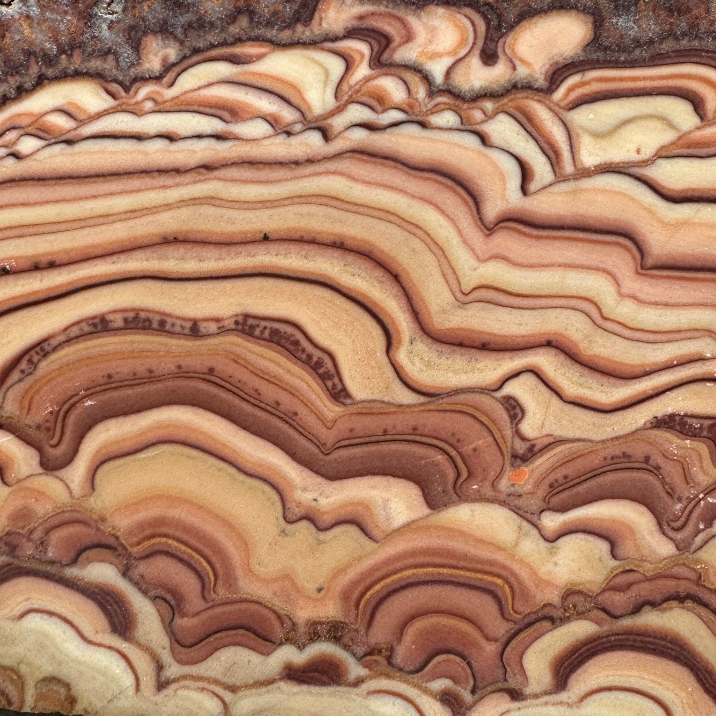 ROLLING HILLS DOLOMITE Slab - 233 grams