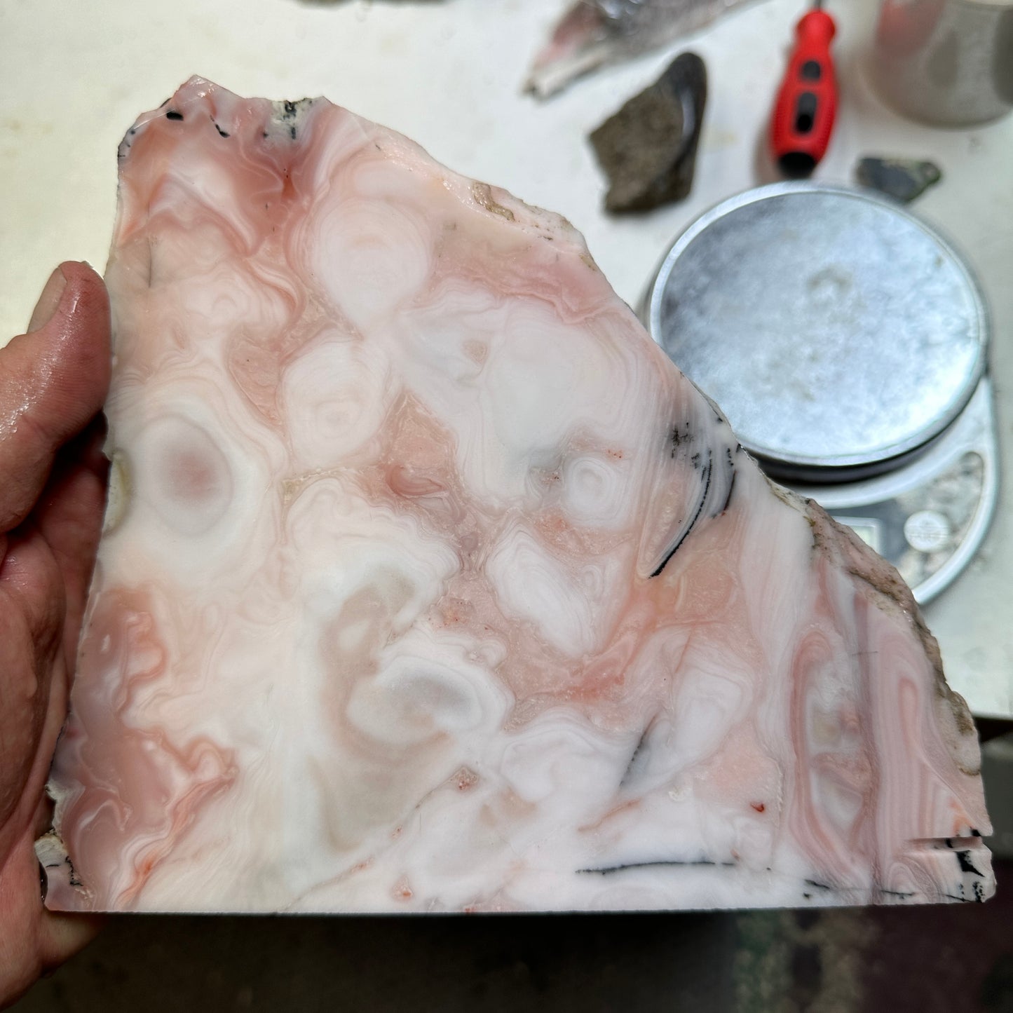 WINDY MOUNTAIN AGATE Slab - 545 grams