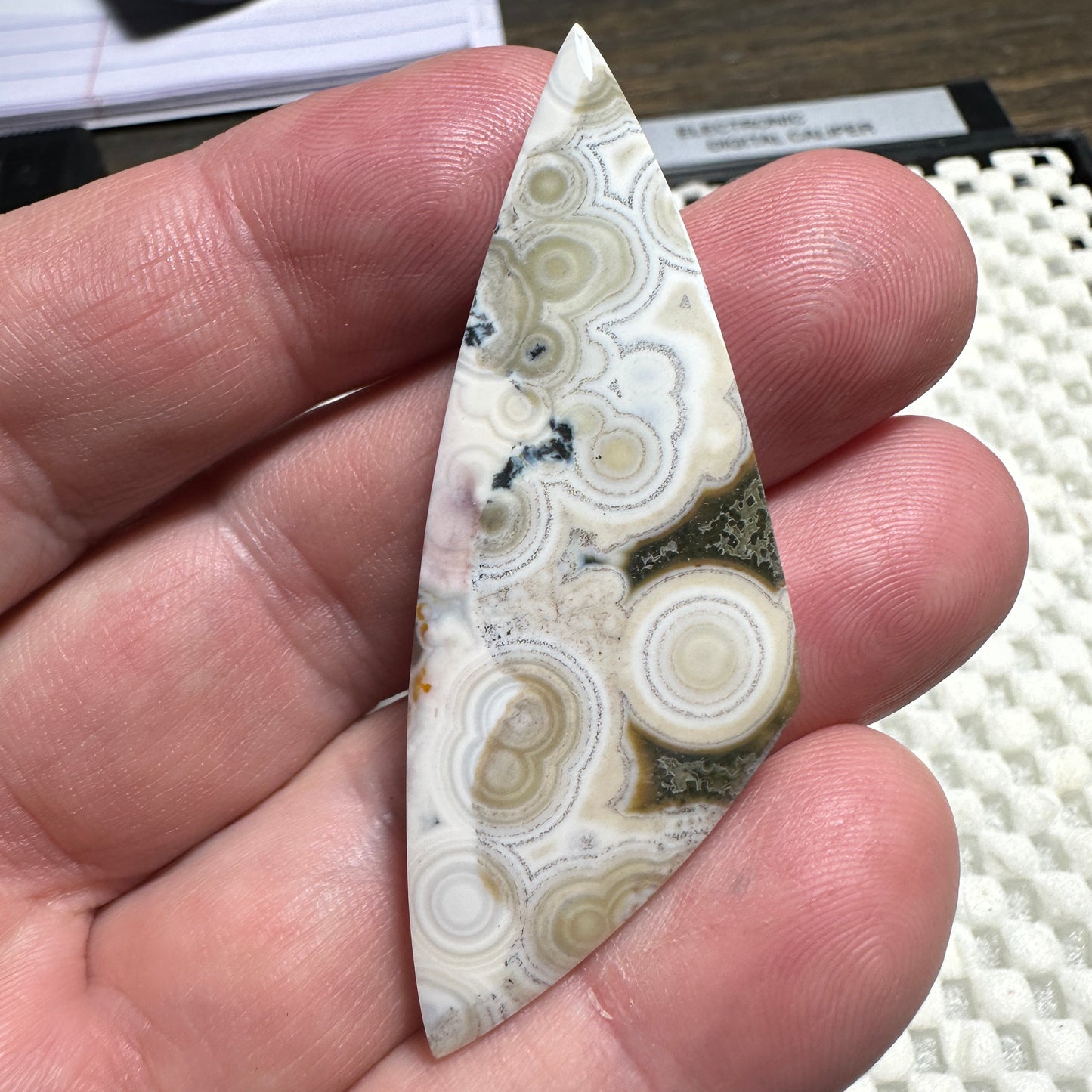 OCEAN JASPER cabochon