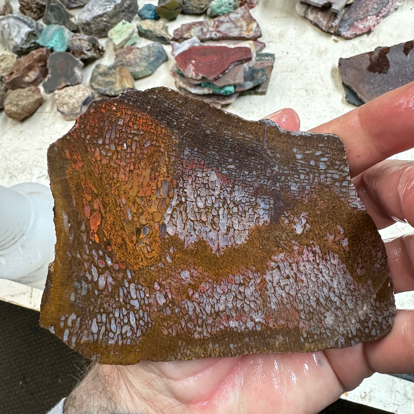 GEMBONE Dinosaur Bone Slab - 163 grams