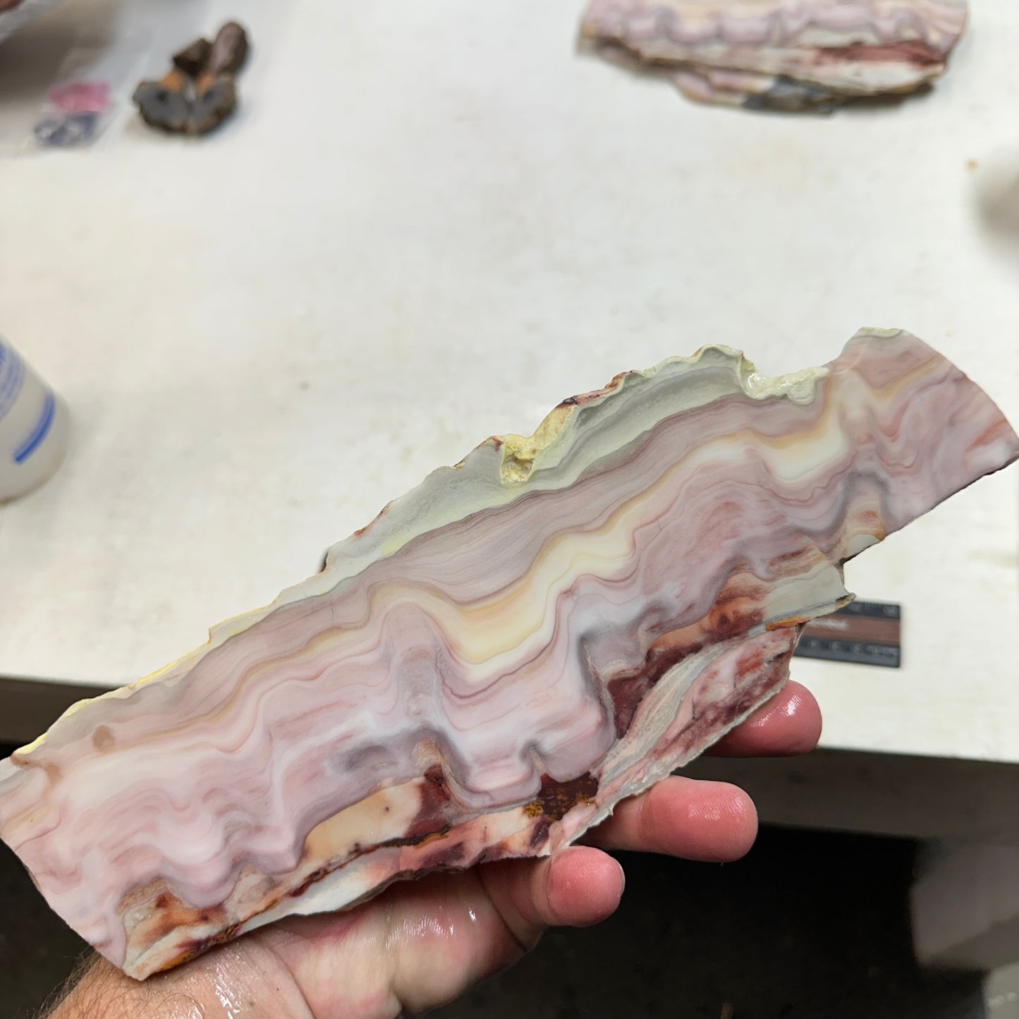 WINDY MOUNTAIN AGATE Slab - 337 grams