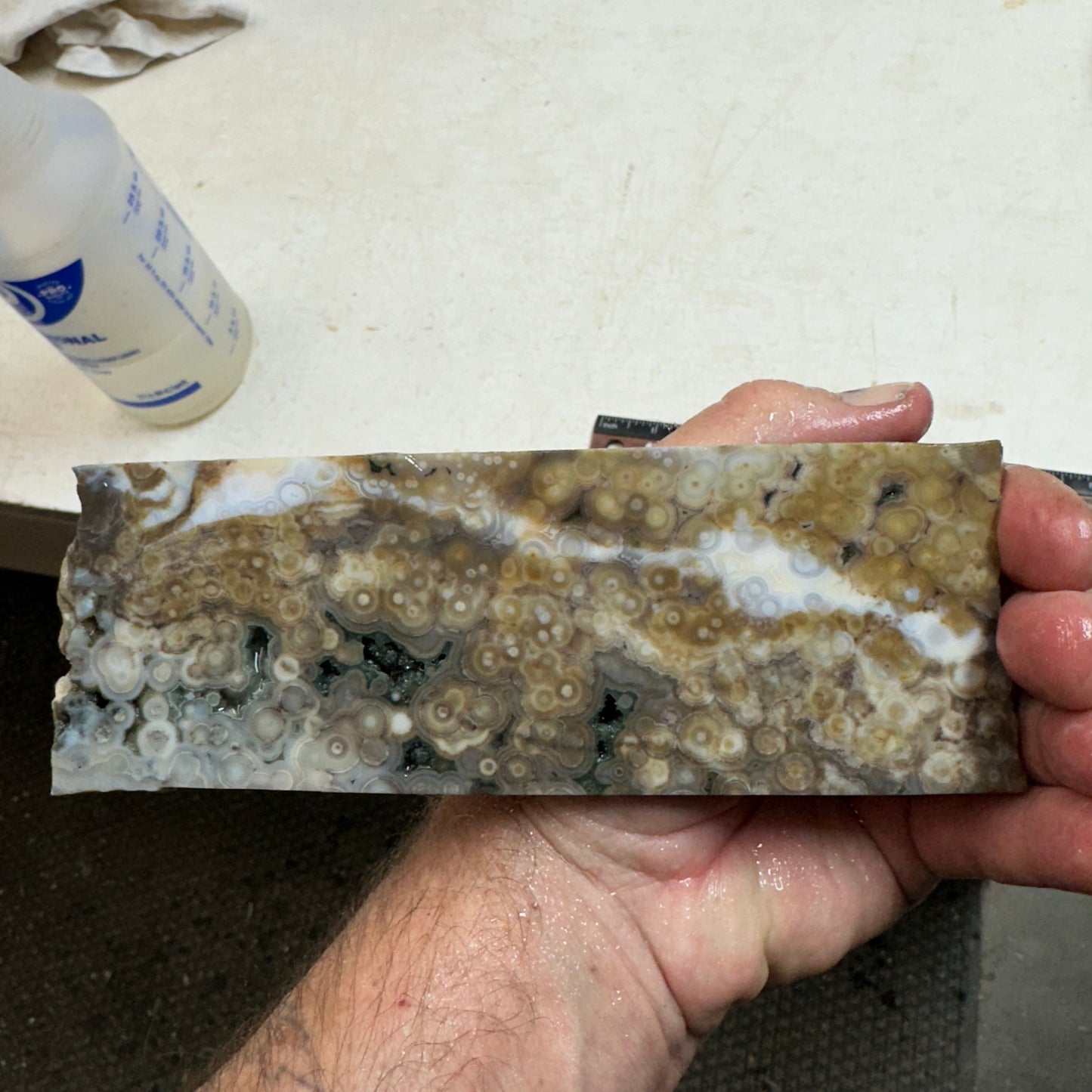 OCEAN JASPER Slab - 206 grams