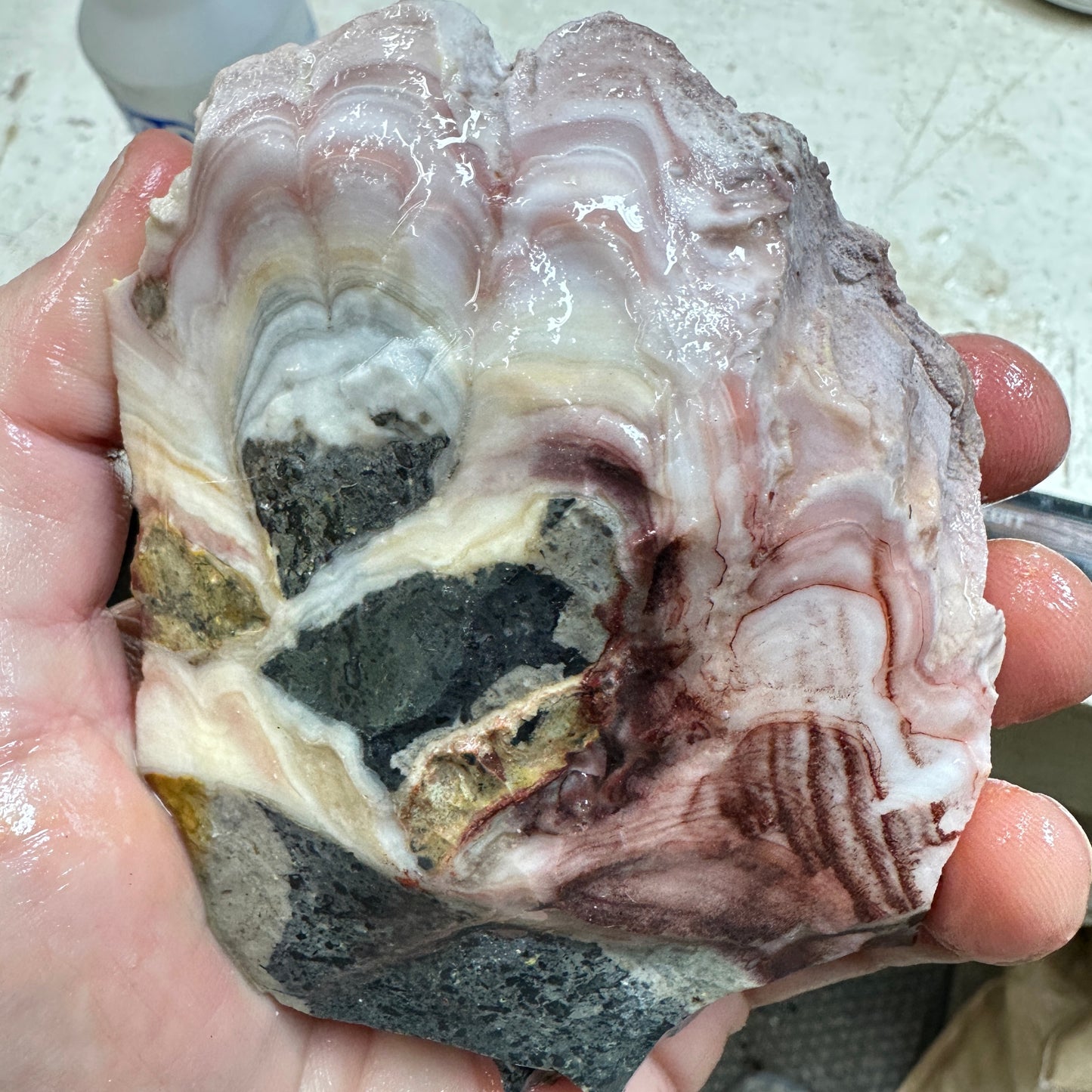 WINDY MOUNTAIN AGATE Rough - 1.42 Pounds