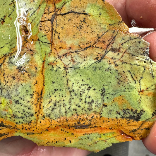 GREEN DREAM Slab - 169 grams