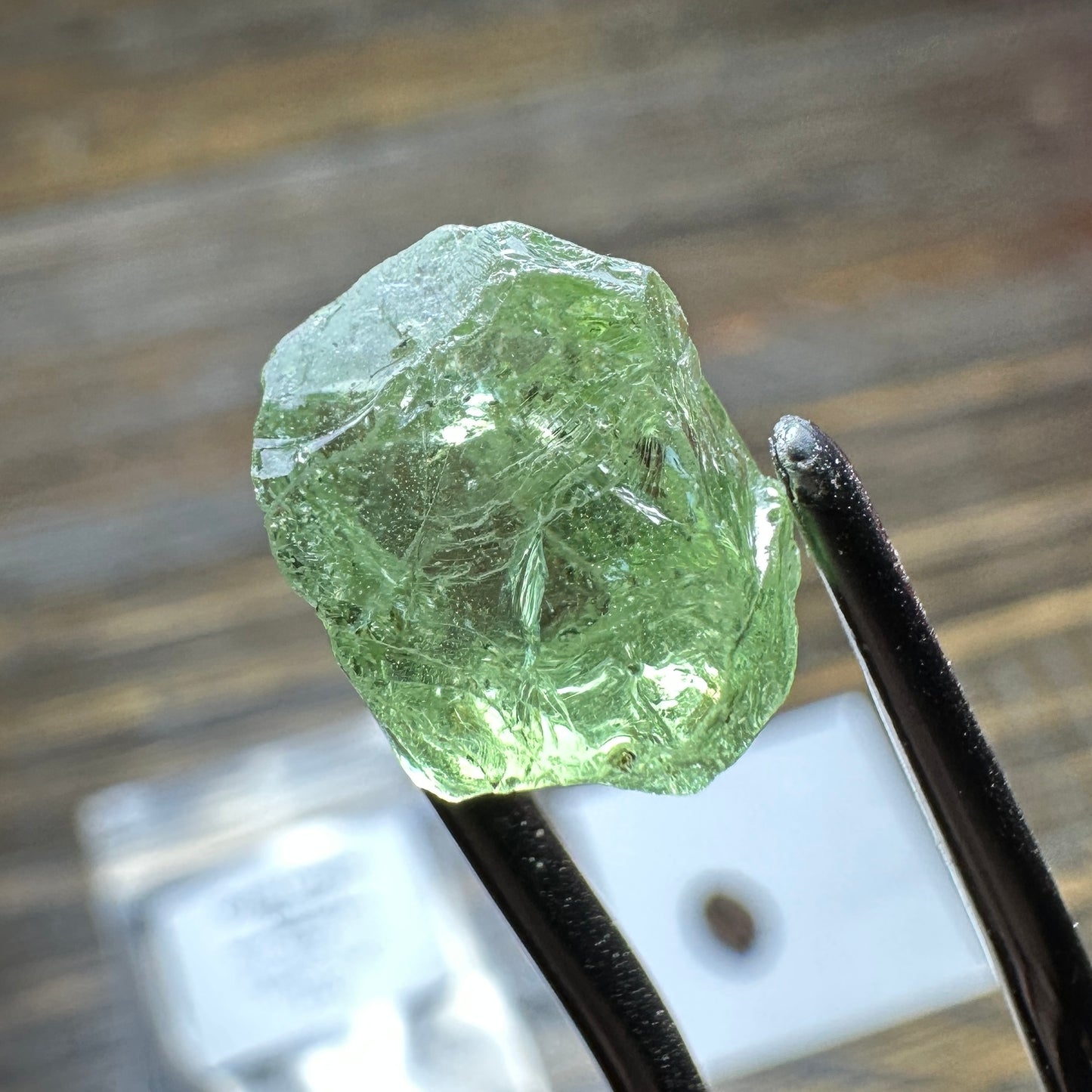 10.0ct GREEN DRAGON GARNET Facet Rough