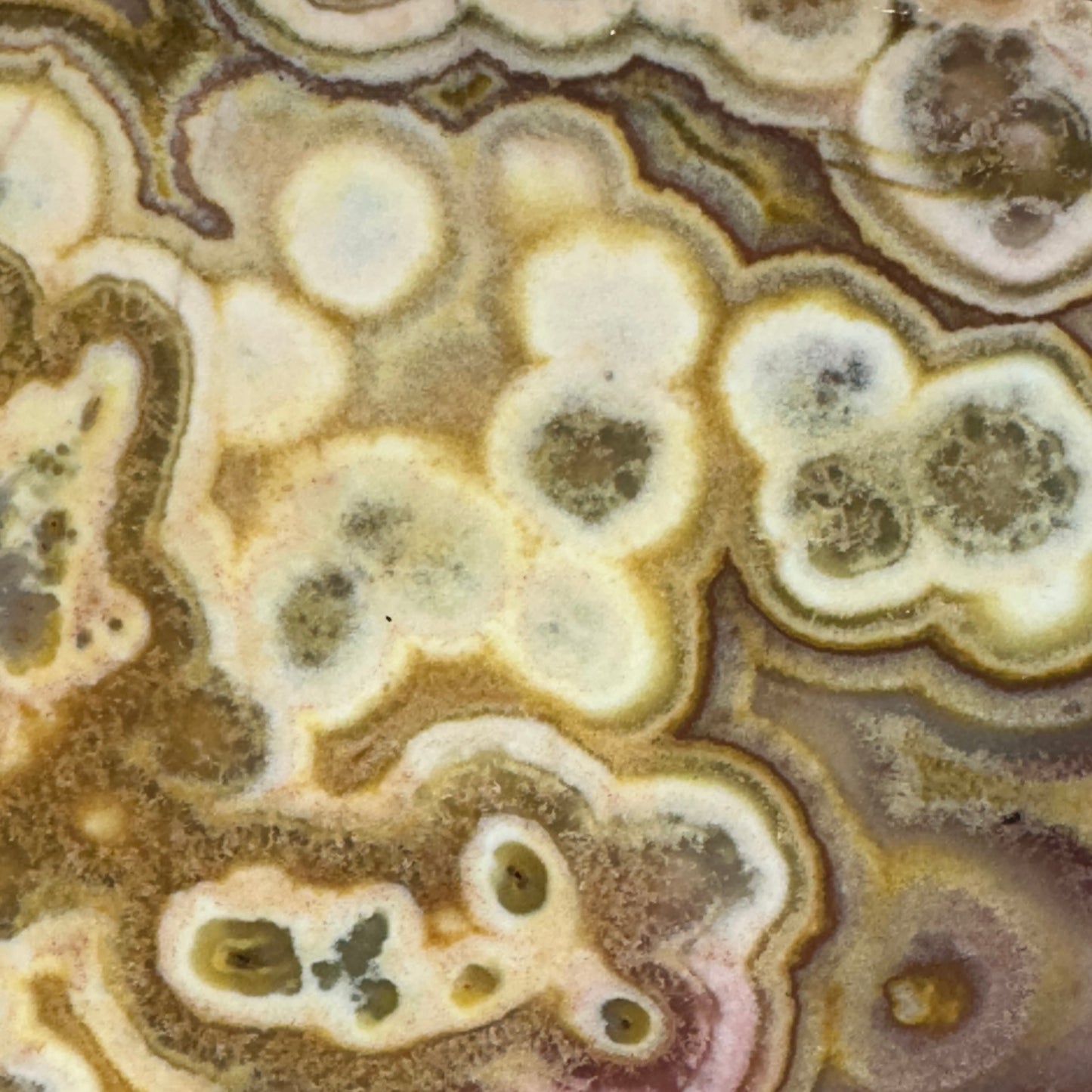 CRAZY LACE AGATE Slab - 175 grams