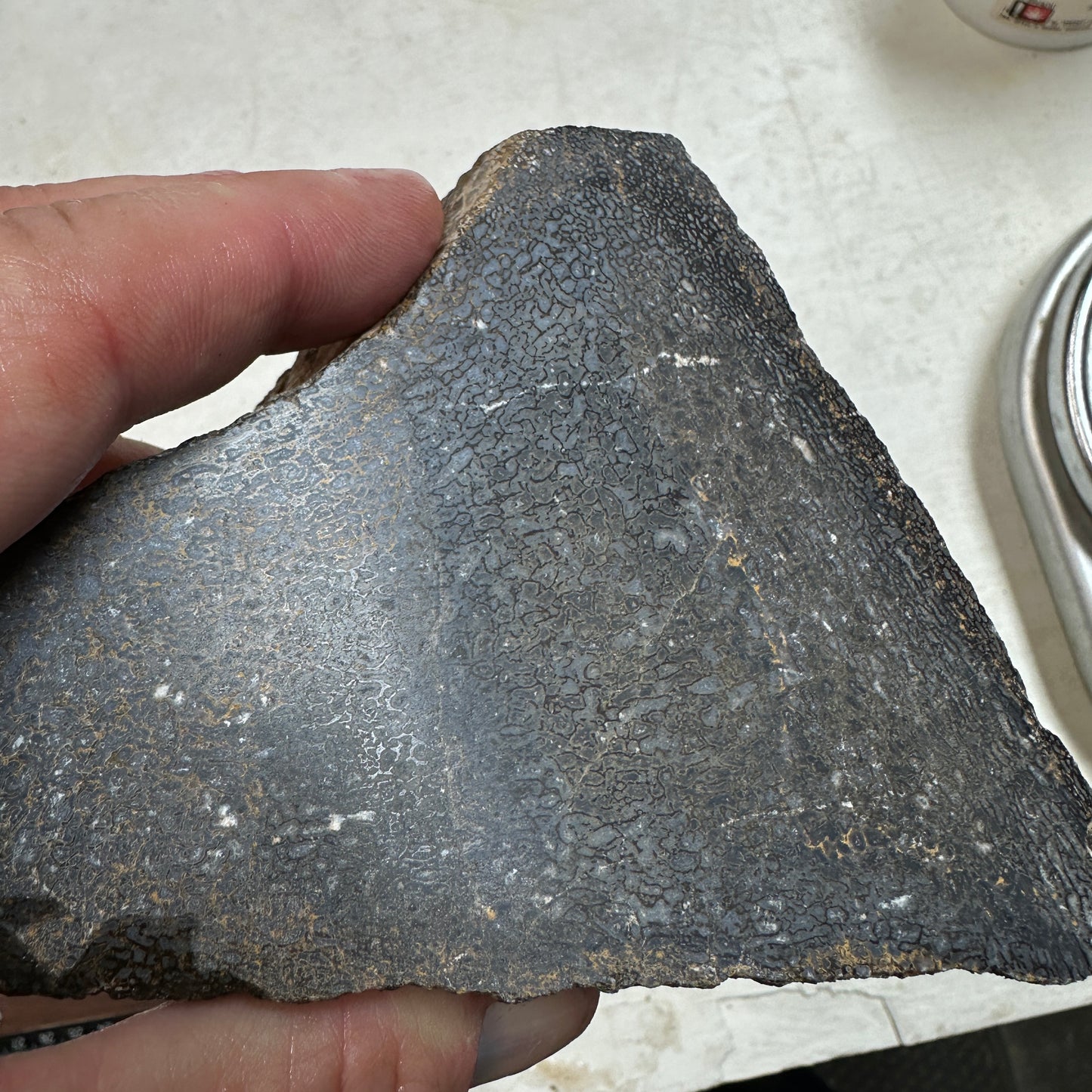 GEMBONE Dinosaur Bone Faced Rough - 24.2 ounces