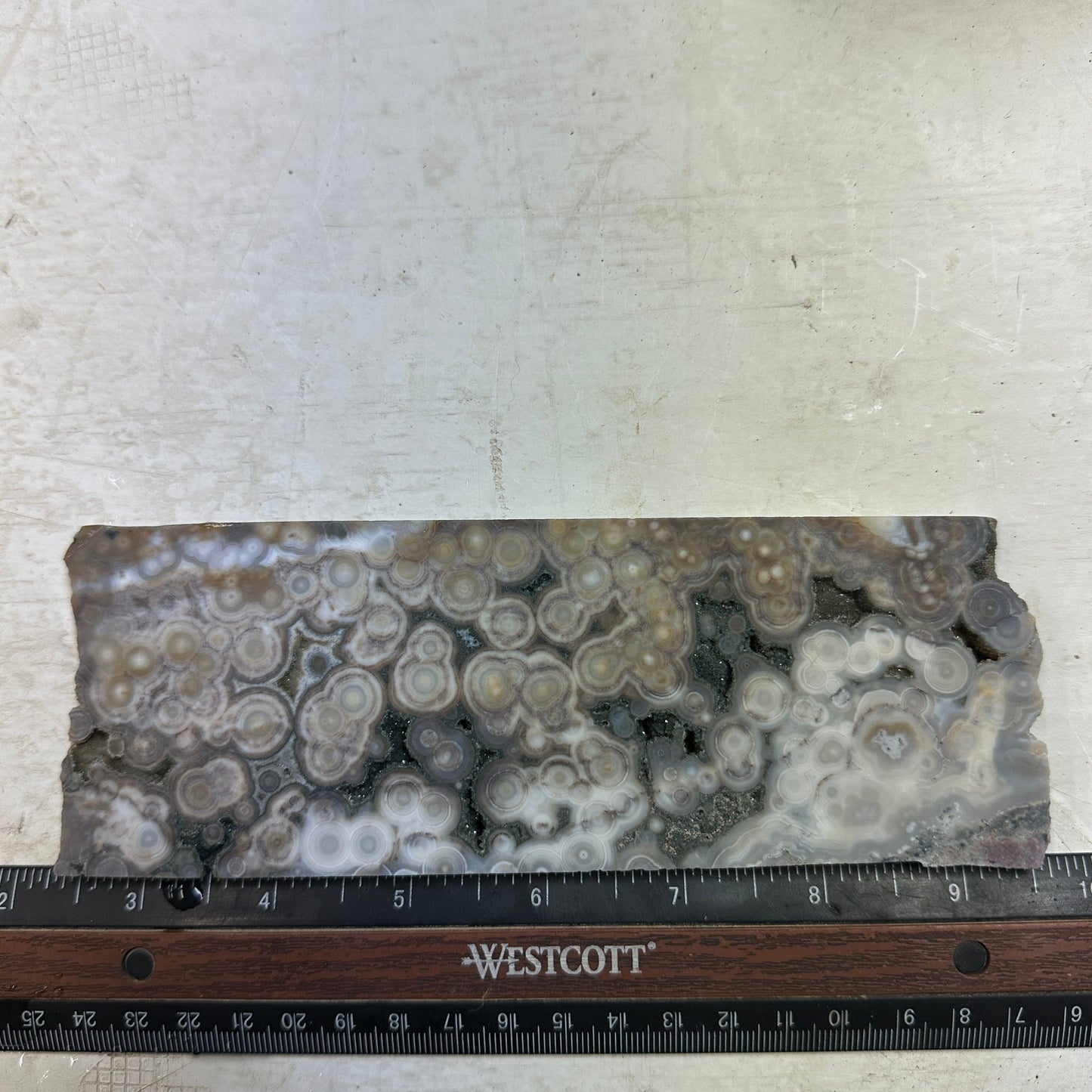 OCEAN JASPER Slab - 206 grams