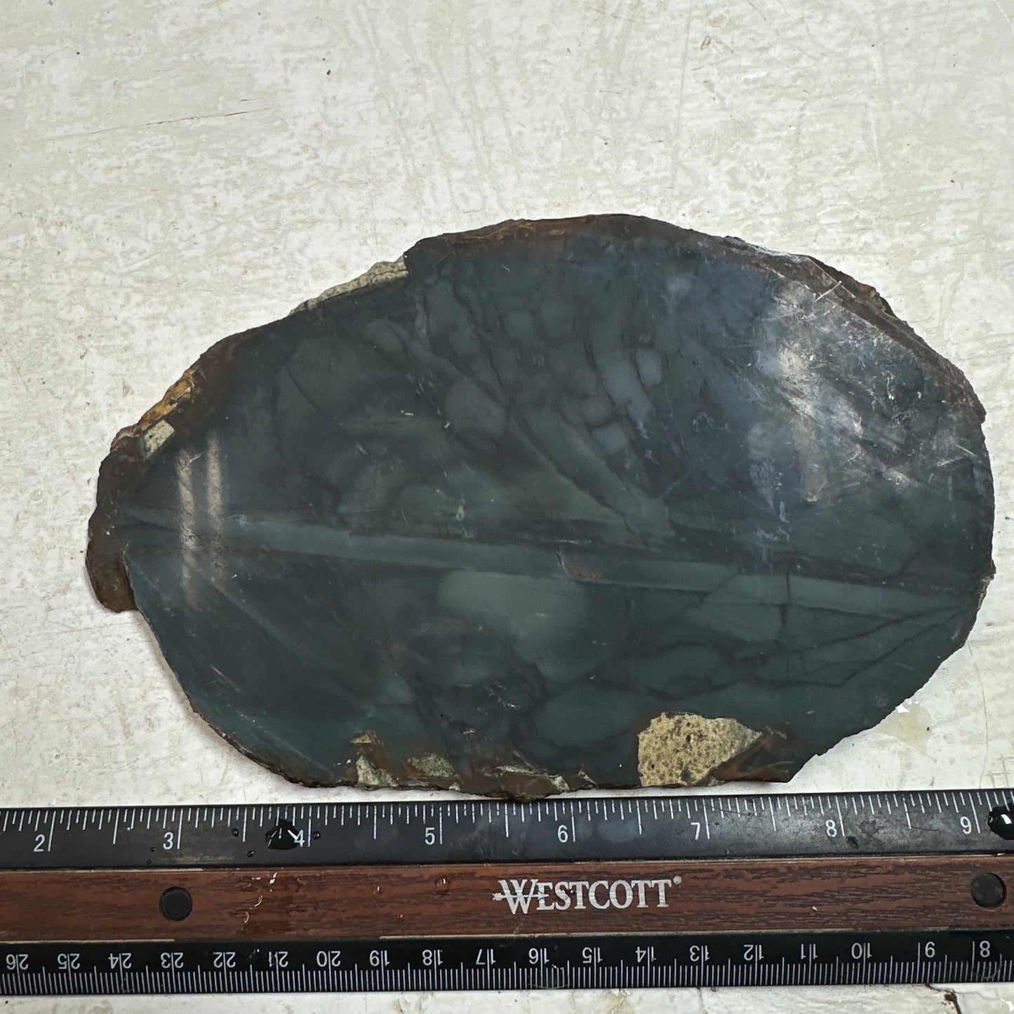 BLUE MOUNTAIN JASPER Slab - 277 grams