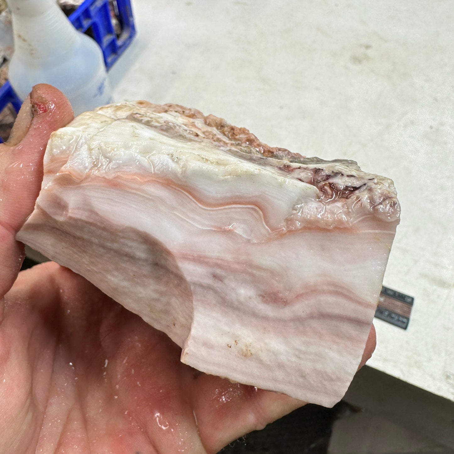 WINDY MOUNTAIN AGATE Rough - 2.51 Pounds