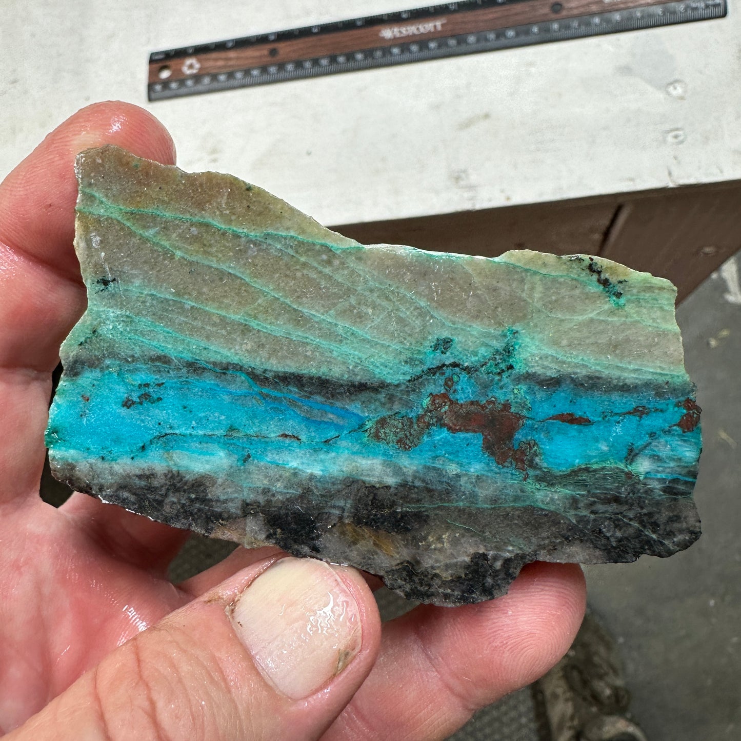 CHRYSOCOLLA IN QUARTZ Faced Rough - 221 grams