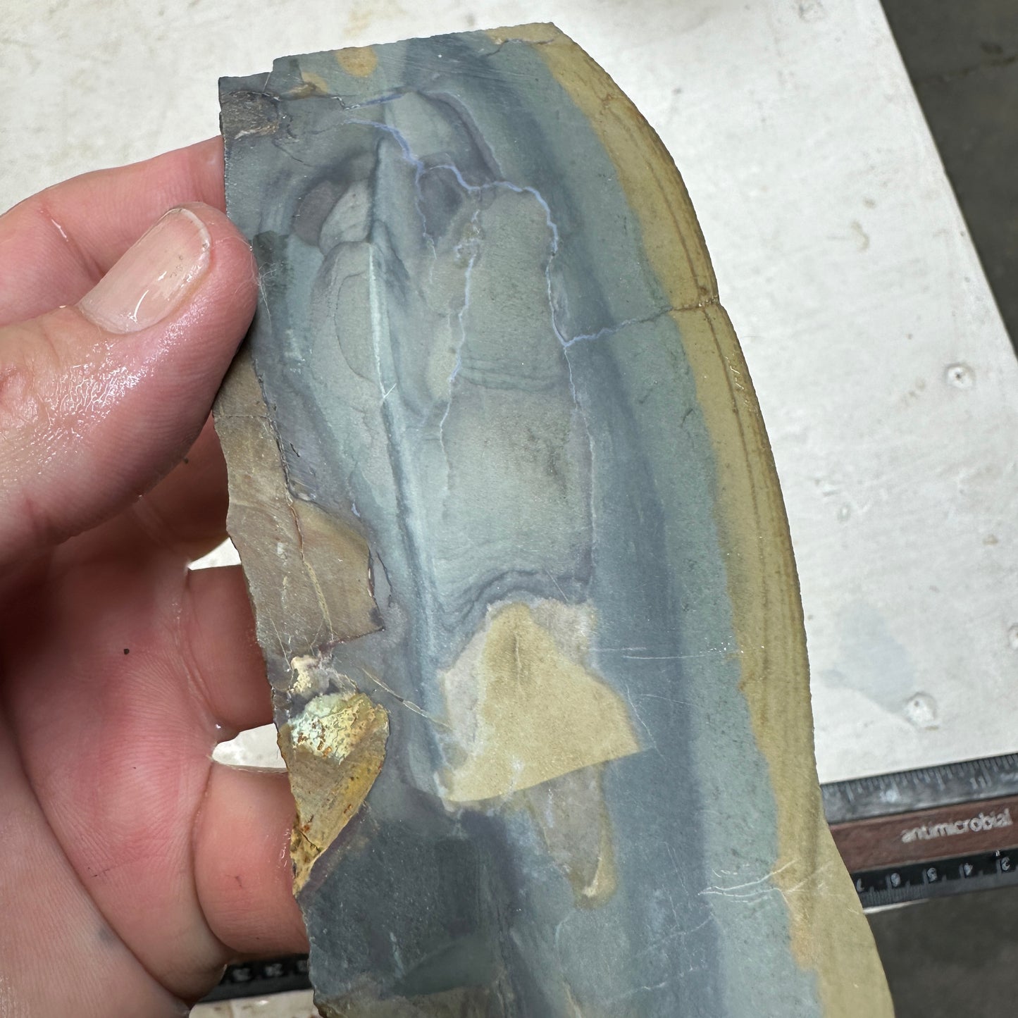 ECHO RIDGE JASPER Slab - 105 grams