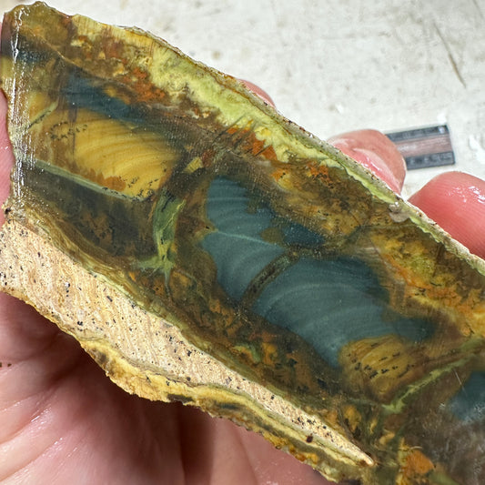 MORRISONITE JASPER Faced Rough - 1.16 Pounds