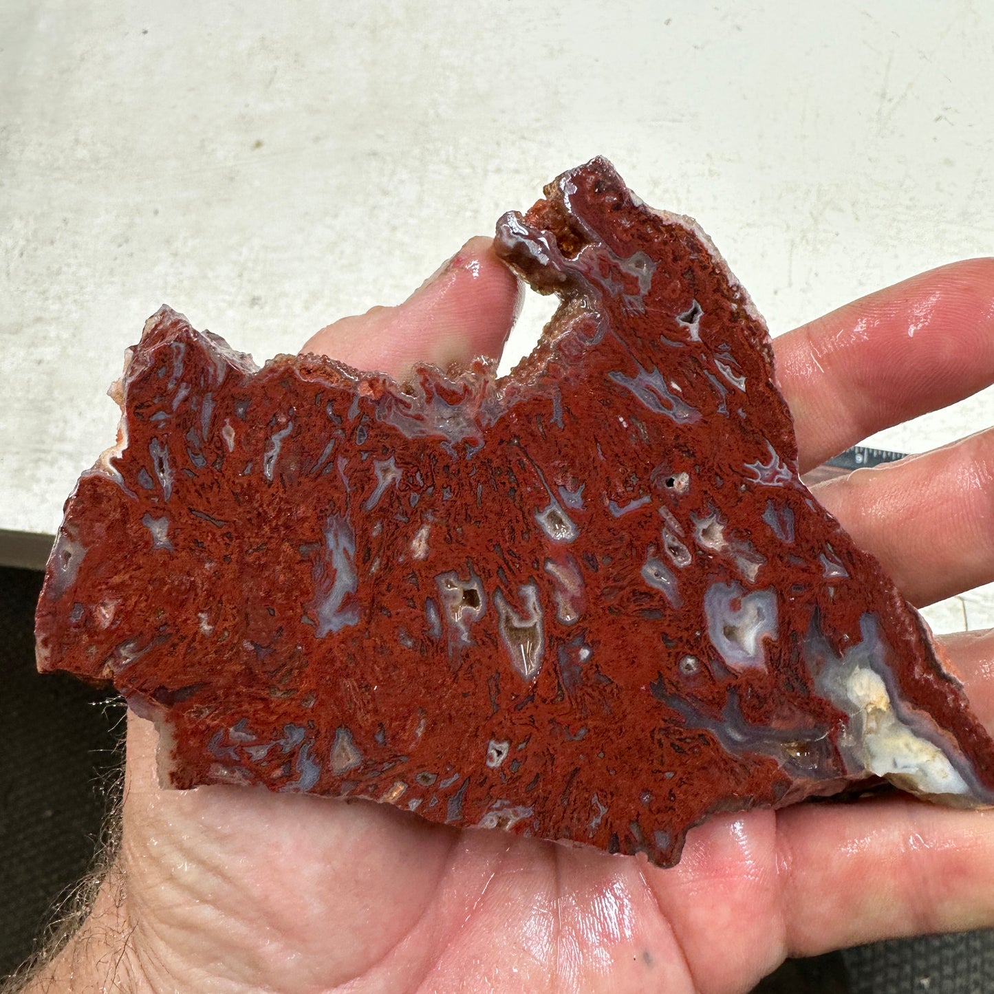 CADY MOUNTAIN AGATE Slab - 168 grams