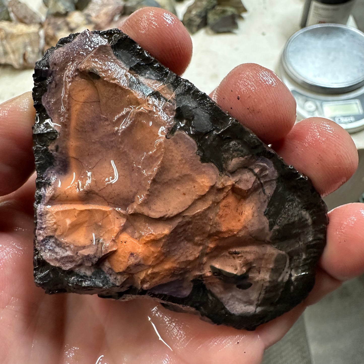 TIFFANY STONE Rough - 0.43 Pounds