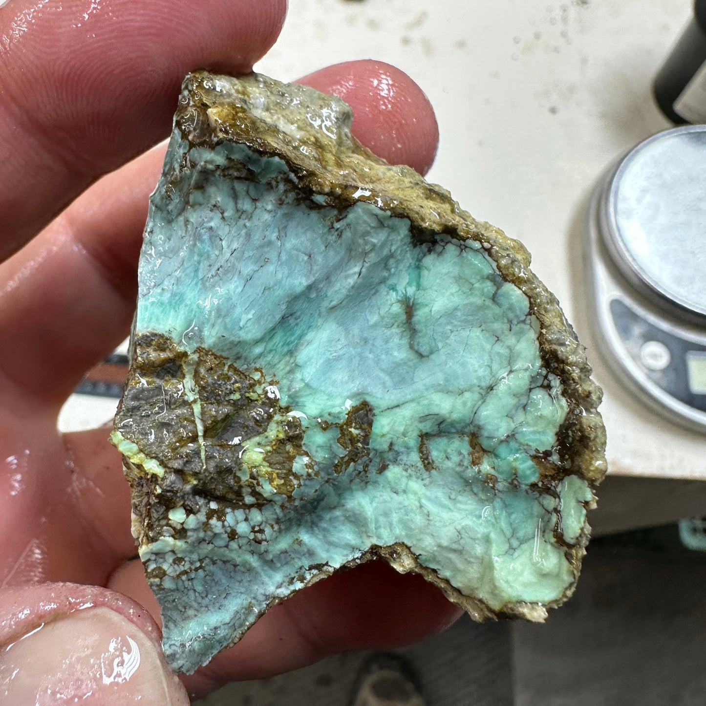 BROKEN ARROW VARISCITE Rough - 111.5 grams