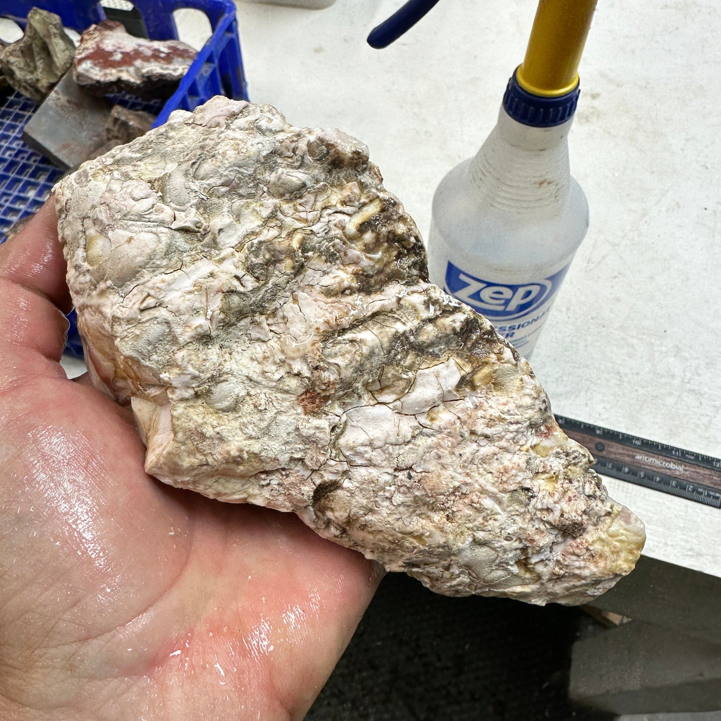 WINDY MOUNTAIN AGATE Rough - 1.91 Pounds