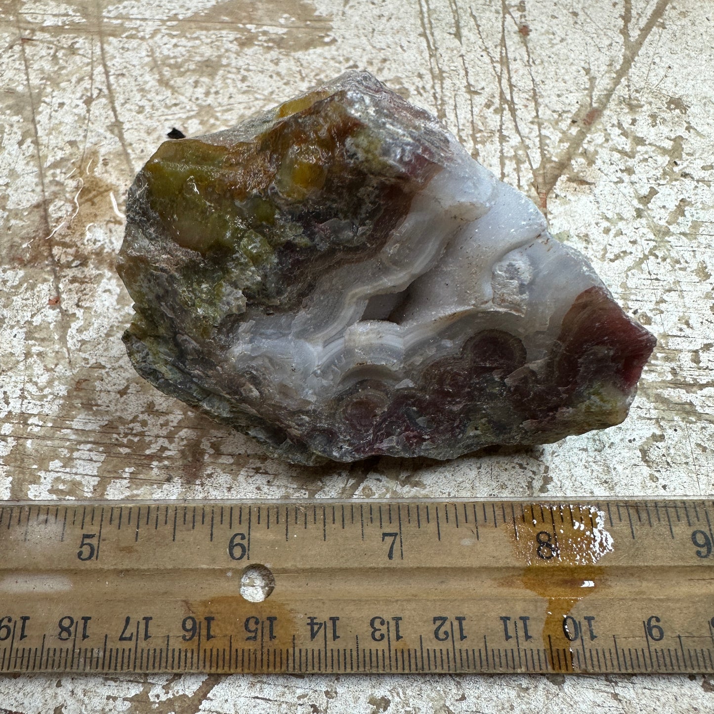 AGUA NUEVA AGATE Rough - 0.66 Pounds