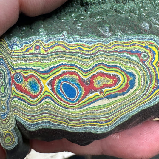 PLAYGROUND FORDITE Rough - 332 grams