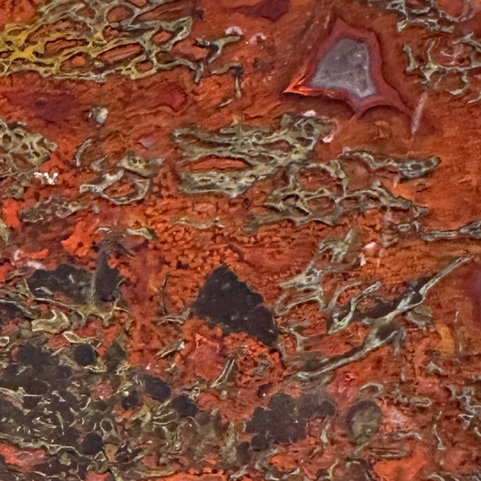 GEMBONE Dinosaur Bone Slab - 133 grams