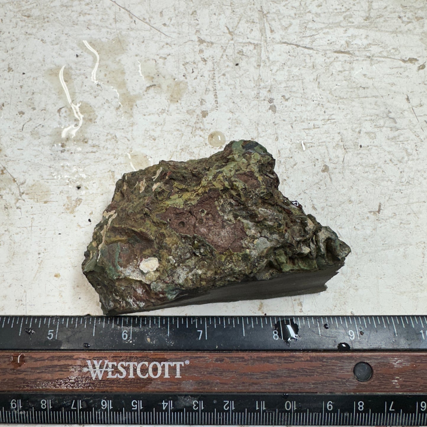 Orbed ECHO RIDGE JASPER Rough - 0.42 Pounds