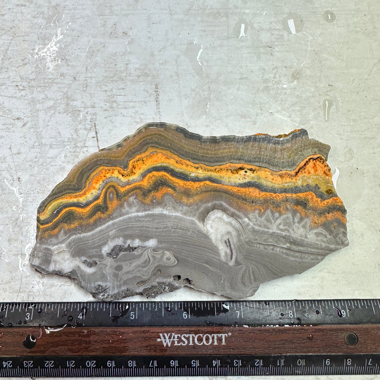 BUMBLEBEE ONYX Slab - 171 grams
