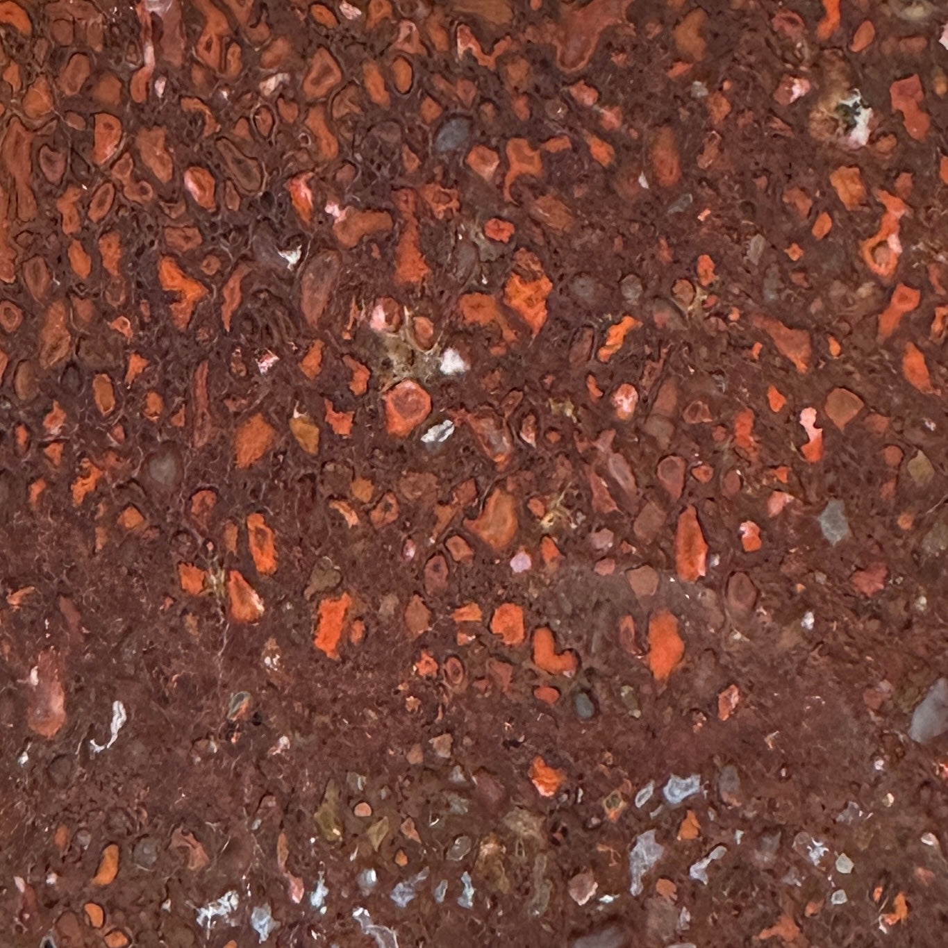 GEMBONE Dinosaur Bone Slab - 196 grams