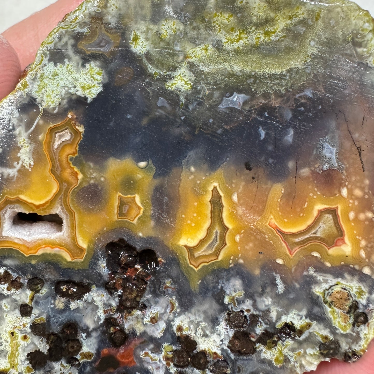 AGUA NUEVA AGATE Rough - 0.53 Pounds