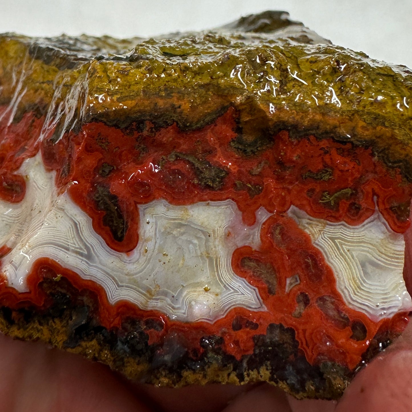 MOROCCAN SEAM AGATE Rough - 0.43 Pounds