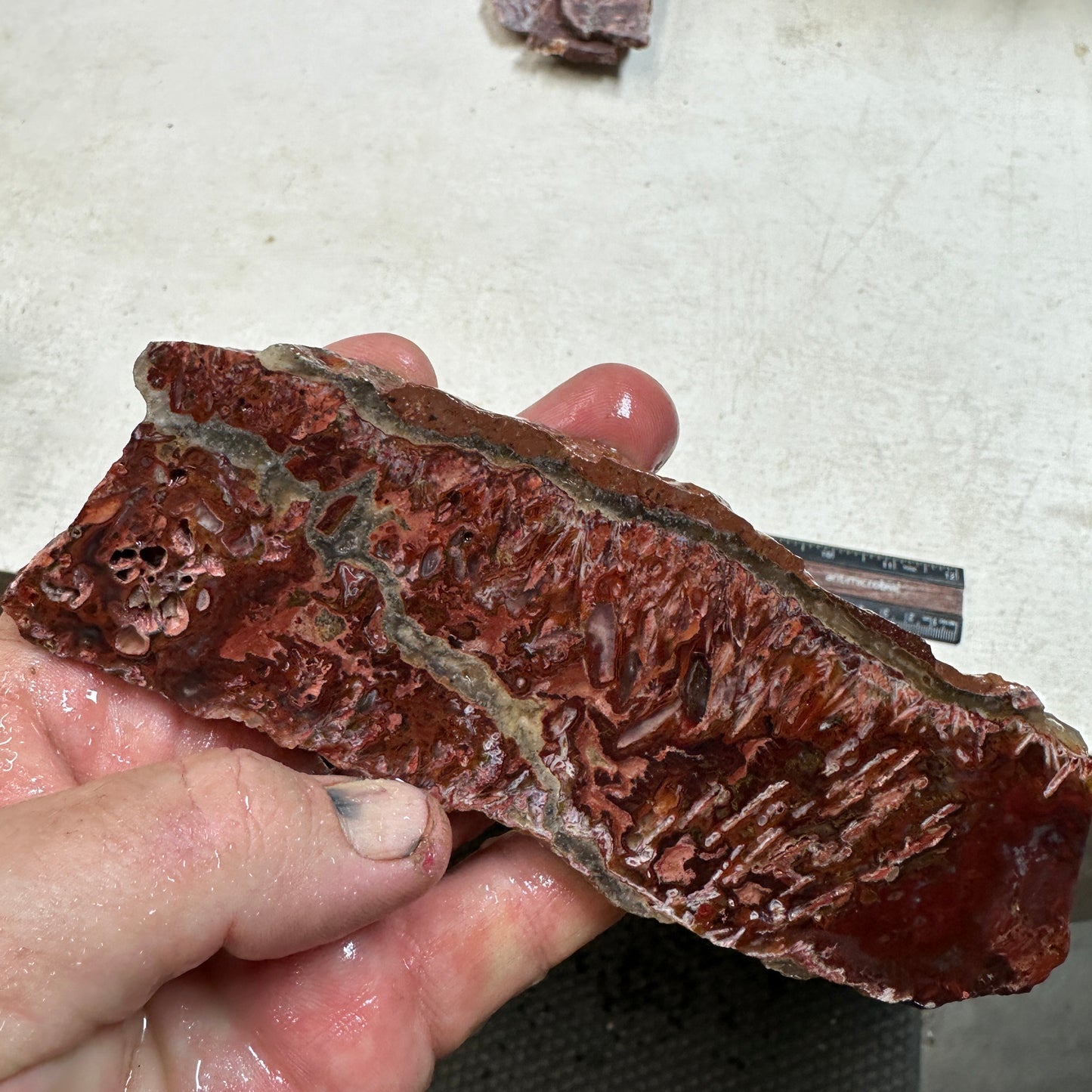 CADY MOUNTAIN AGATE Slab - 173 grams