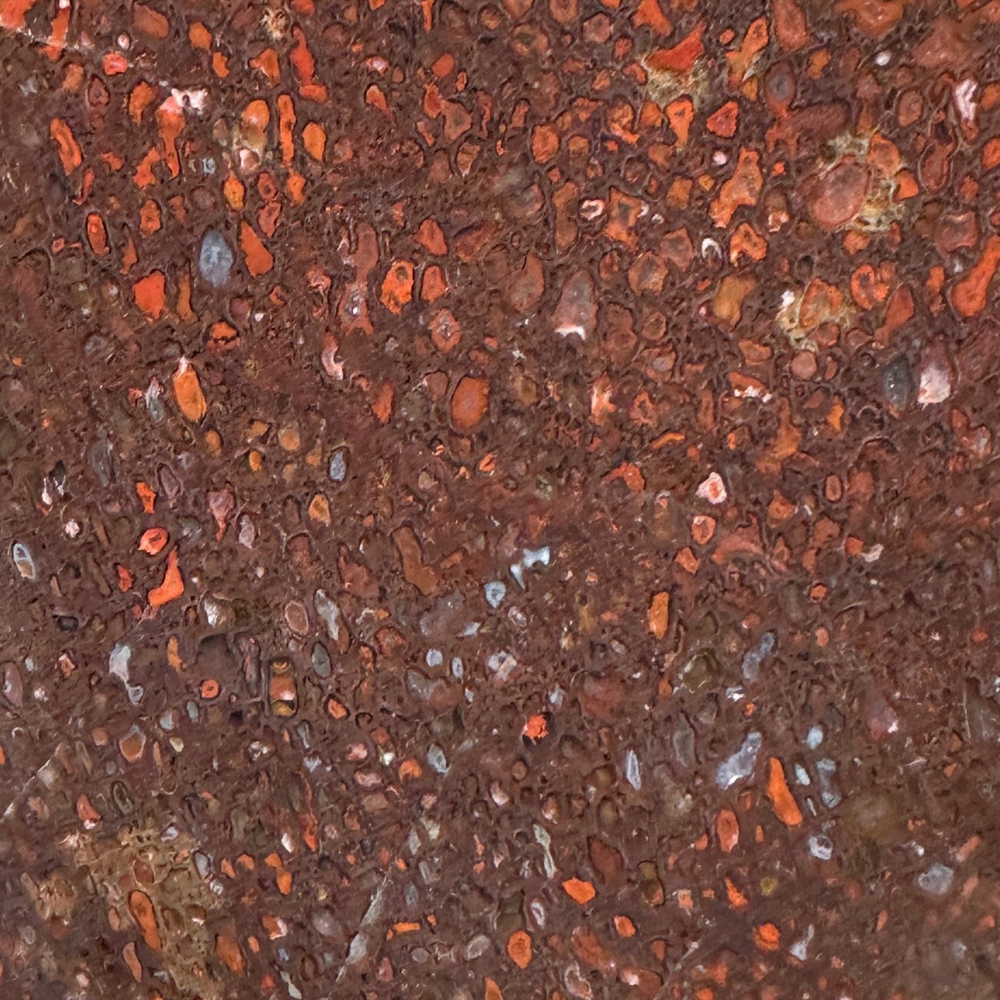 GEMBONE Dinosaur Bone Slab - 196 grams