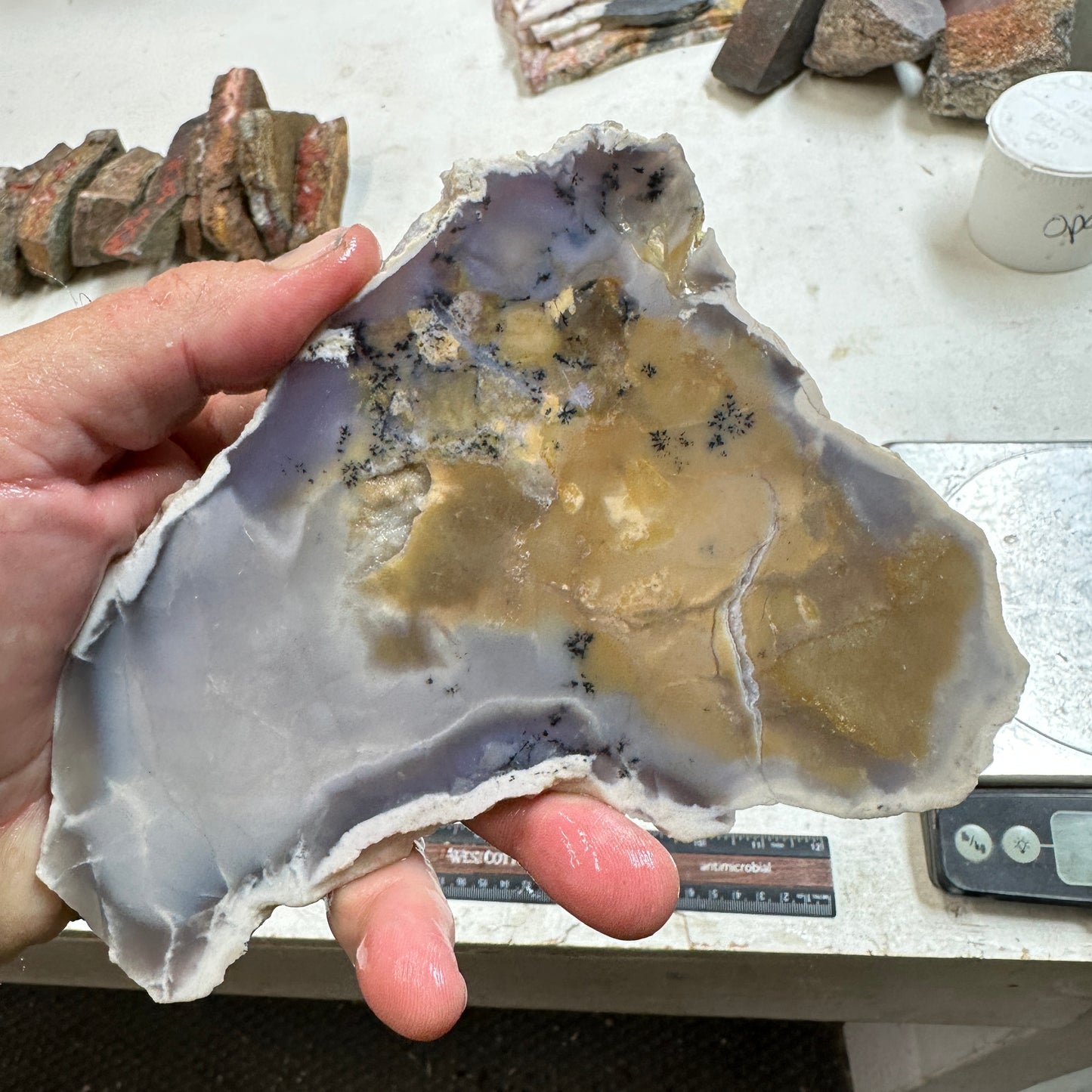 AMETHYST SAGE AGATE Slab - 231 grams