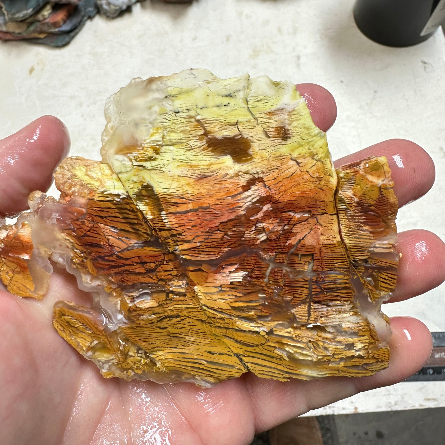 SUNSET HOWARDITE Slab - 124 grams