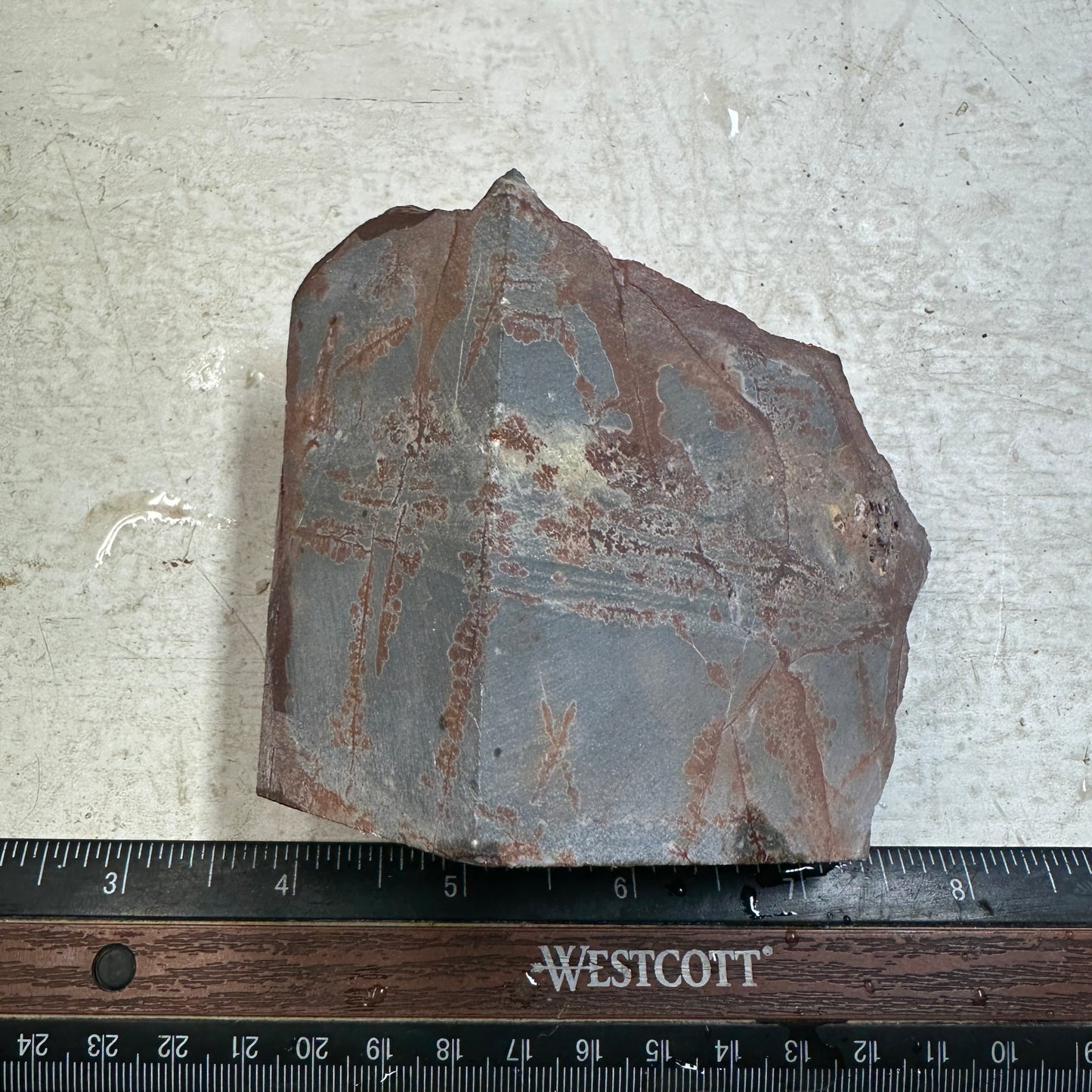 SONORA DENDRITIC RHYOLITE Faced Rough - 1.34 Pounds