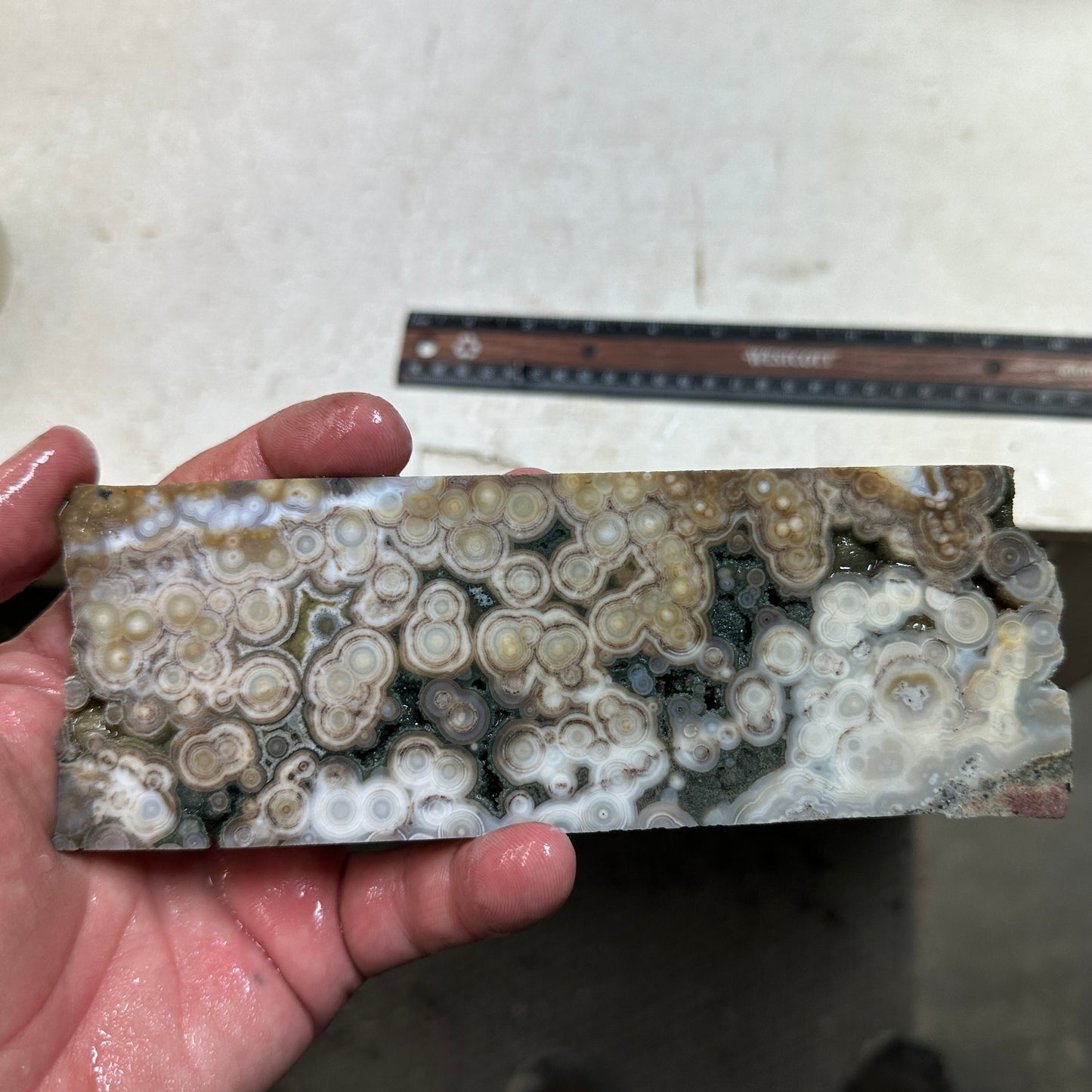 OCEAN JASPER Slab - 206 grams