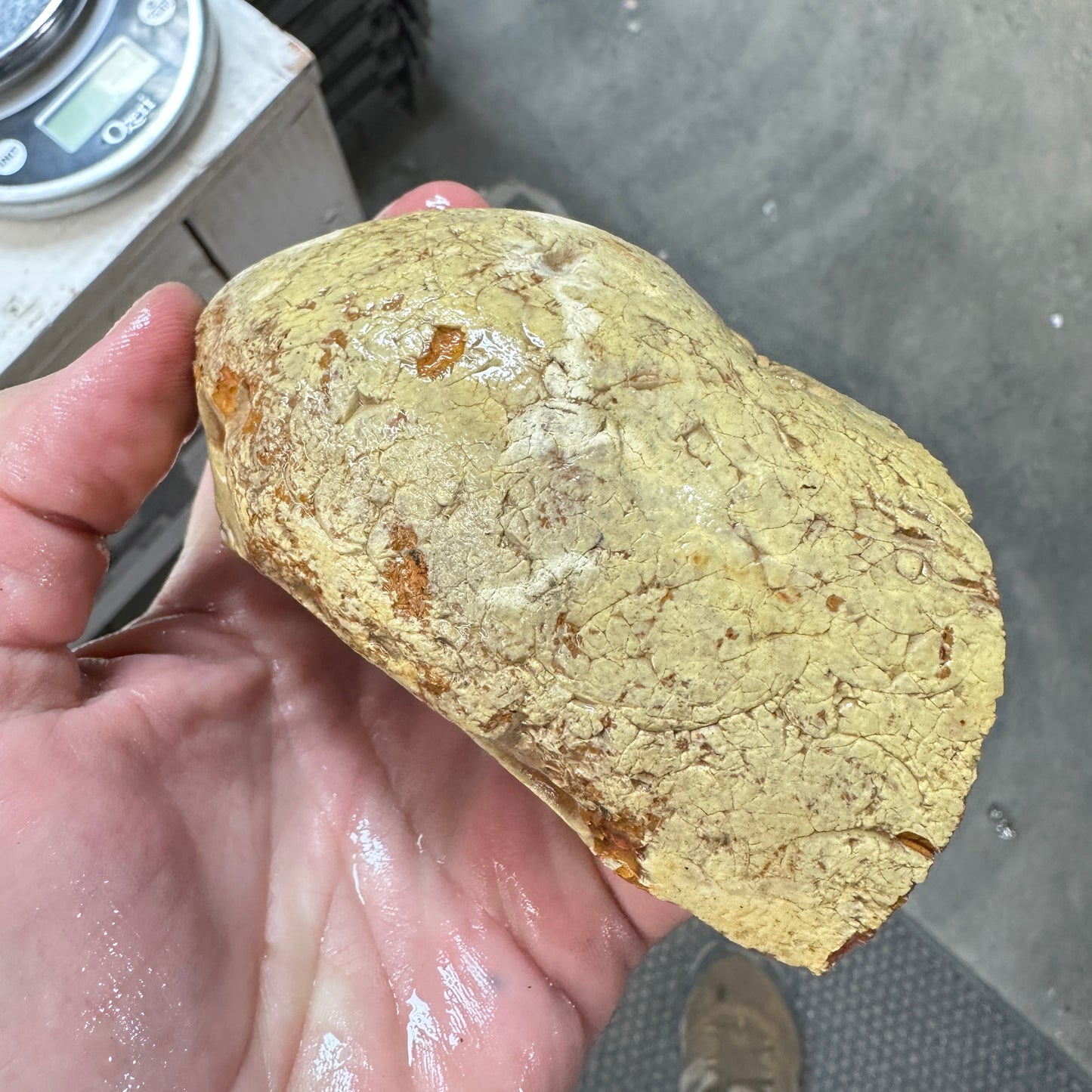 MISTY MOUNTAIN JASPER Faced Rough - 1.54 Pounds