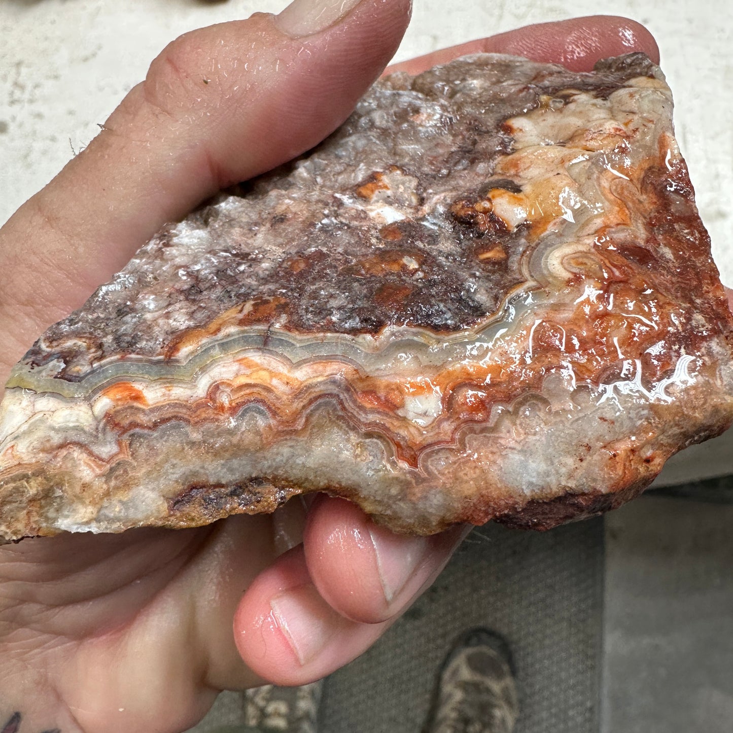 CRAZY LACE AGATE Rough - 0.95 pounds