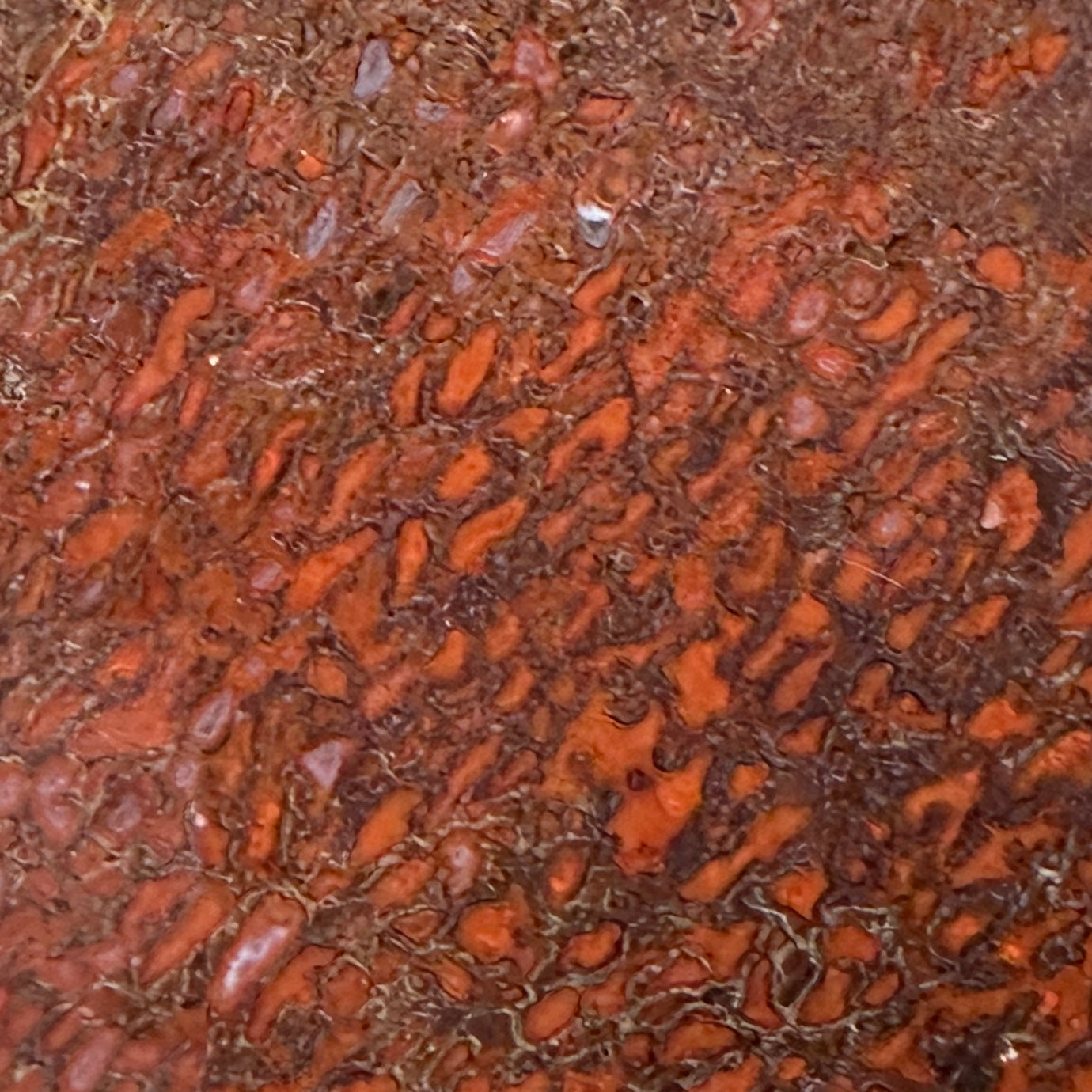 GEMBONE Dinosaur Bone Slab - 110 grams