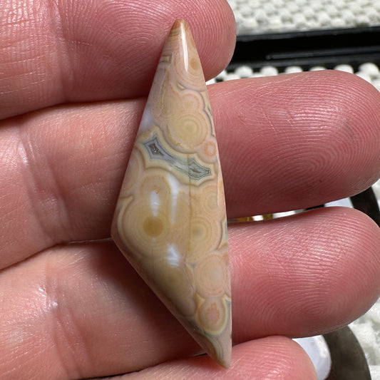 OCEAN JASPER cabochon