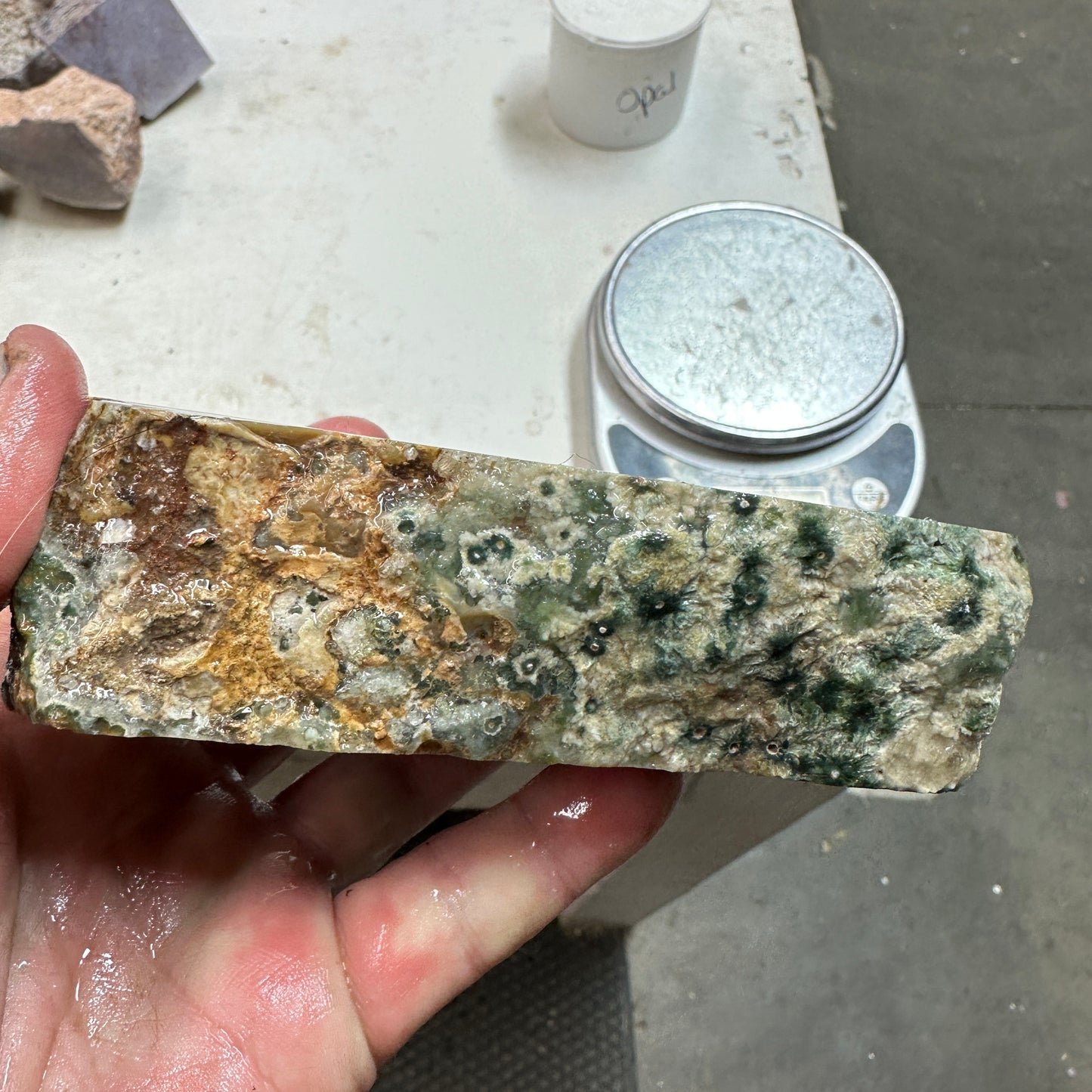 OCEAN JASPER Faced Rough - 1.63 Pounds