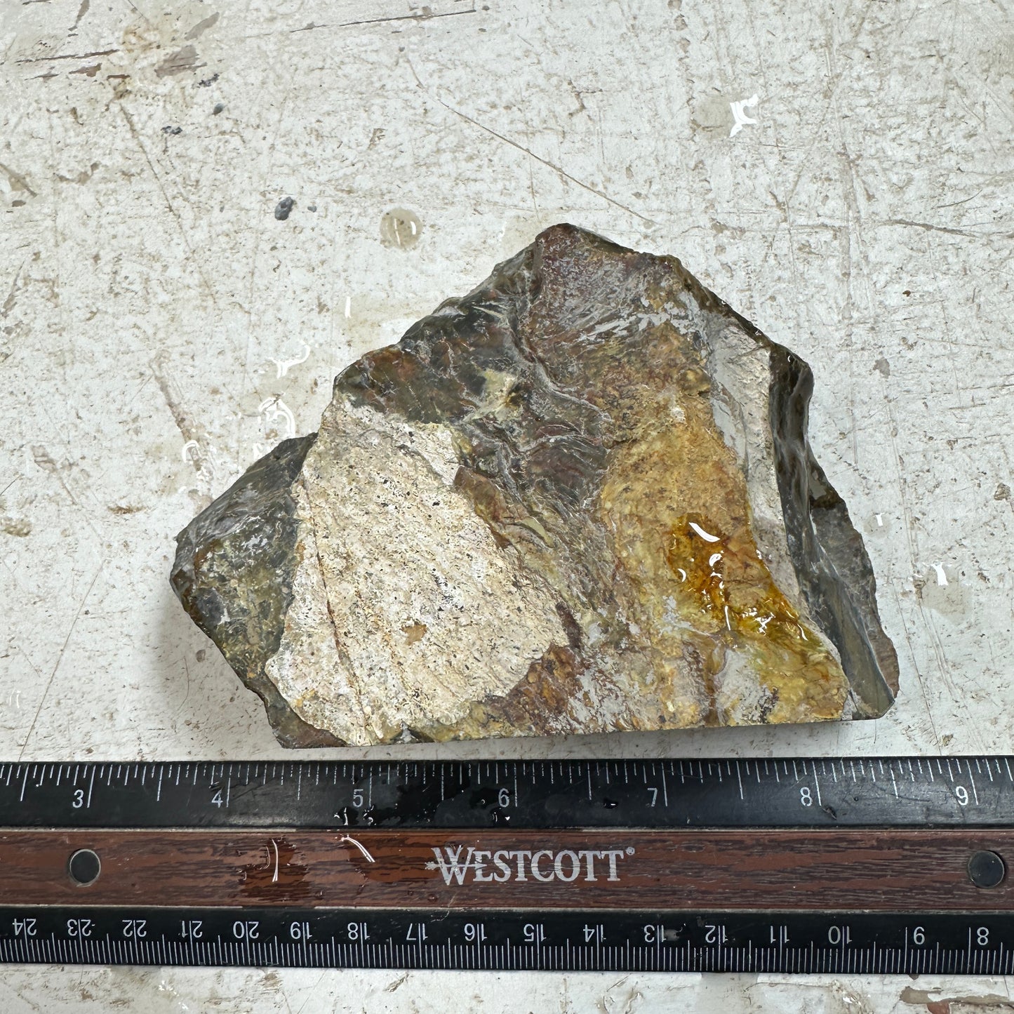MORRISONITE JASPER Faced Rough - 1.16 Pounds