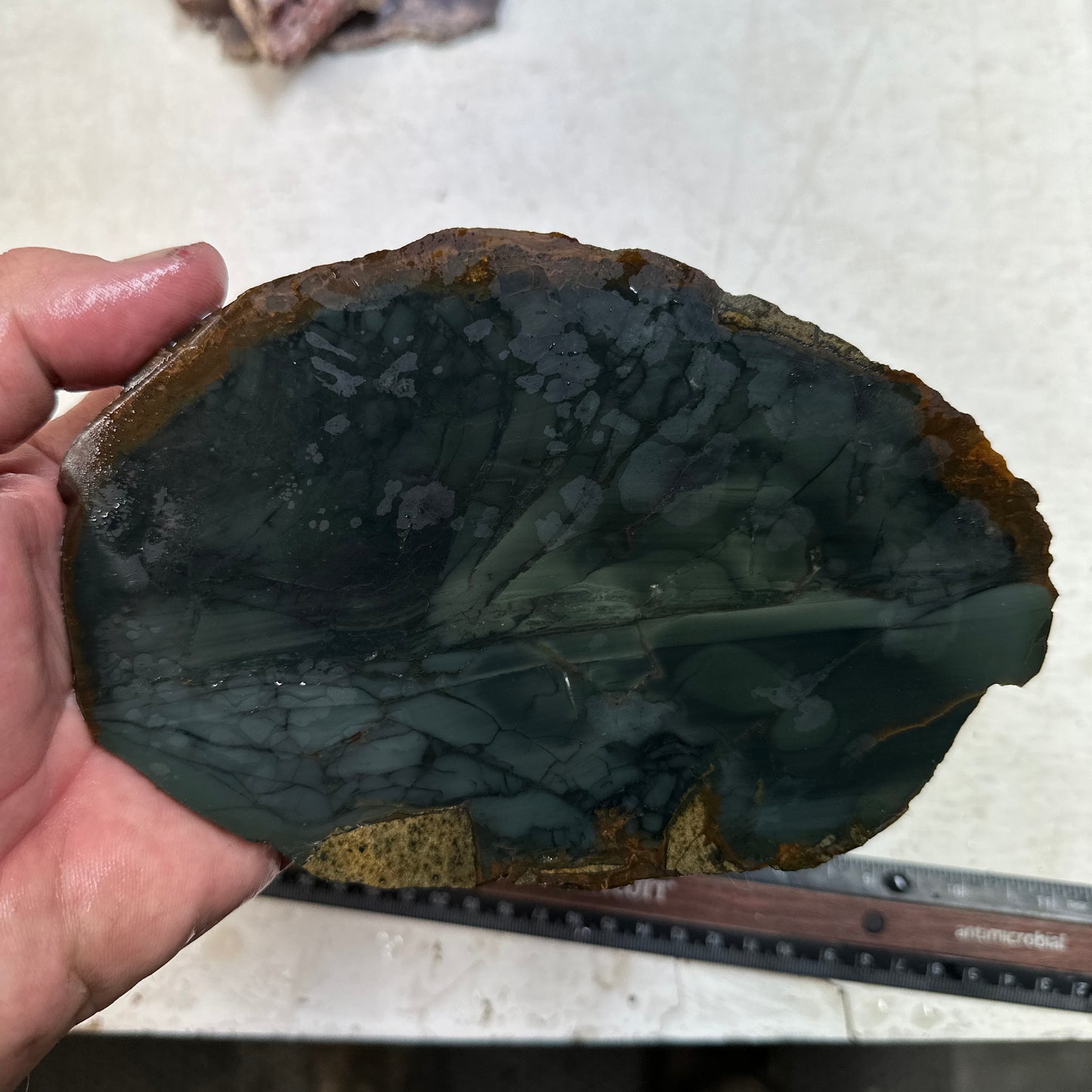 BLUE MOUNTAIN JASPER Slab - 277 grams