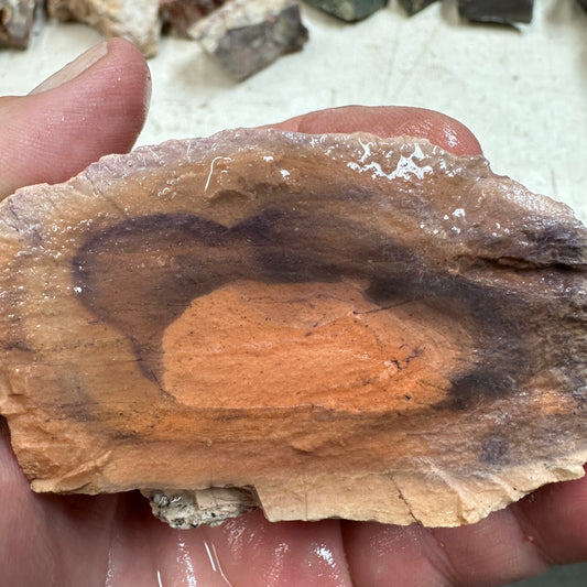 Rare Orbed TIFFANY STONE Rough - 0.66 Pounds