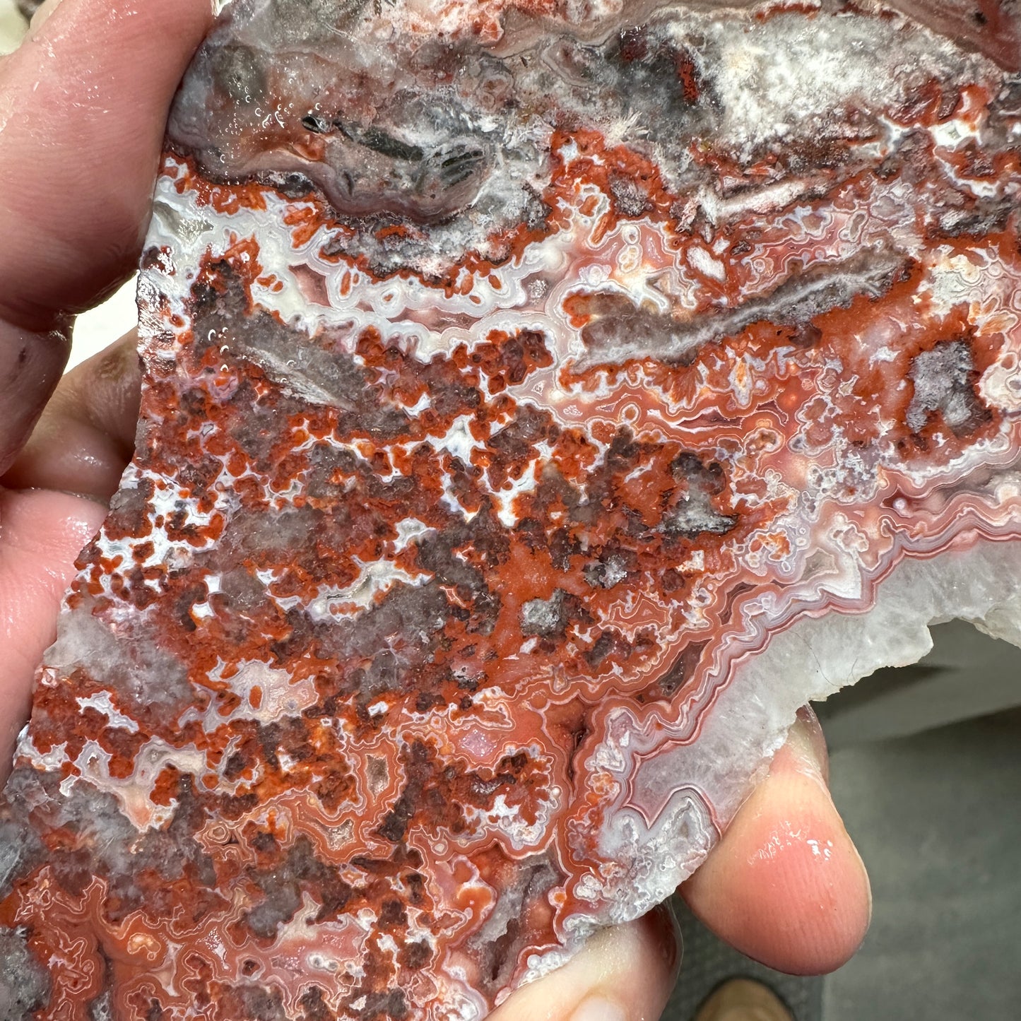 ROSETTA LACE AGATE Slab - 288 grams