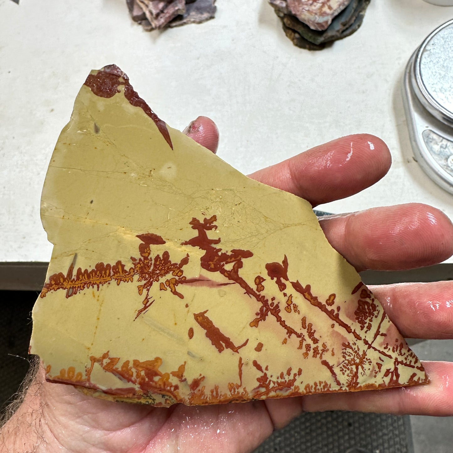 RED FLOWER OWYHEE JASPER Slab - 119 grams