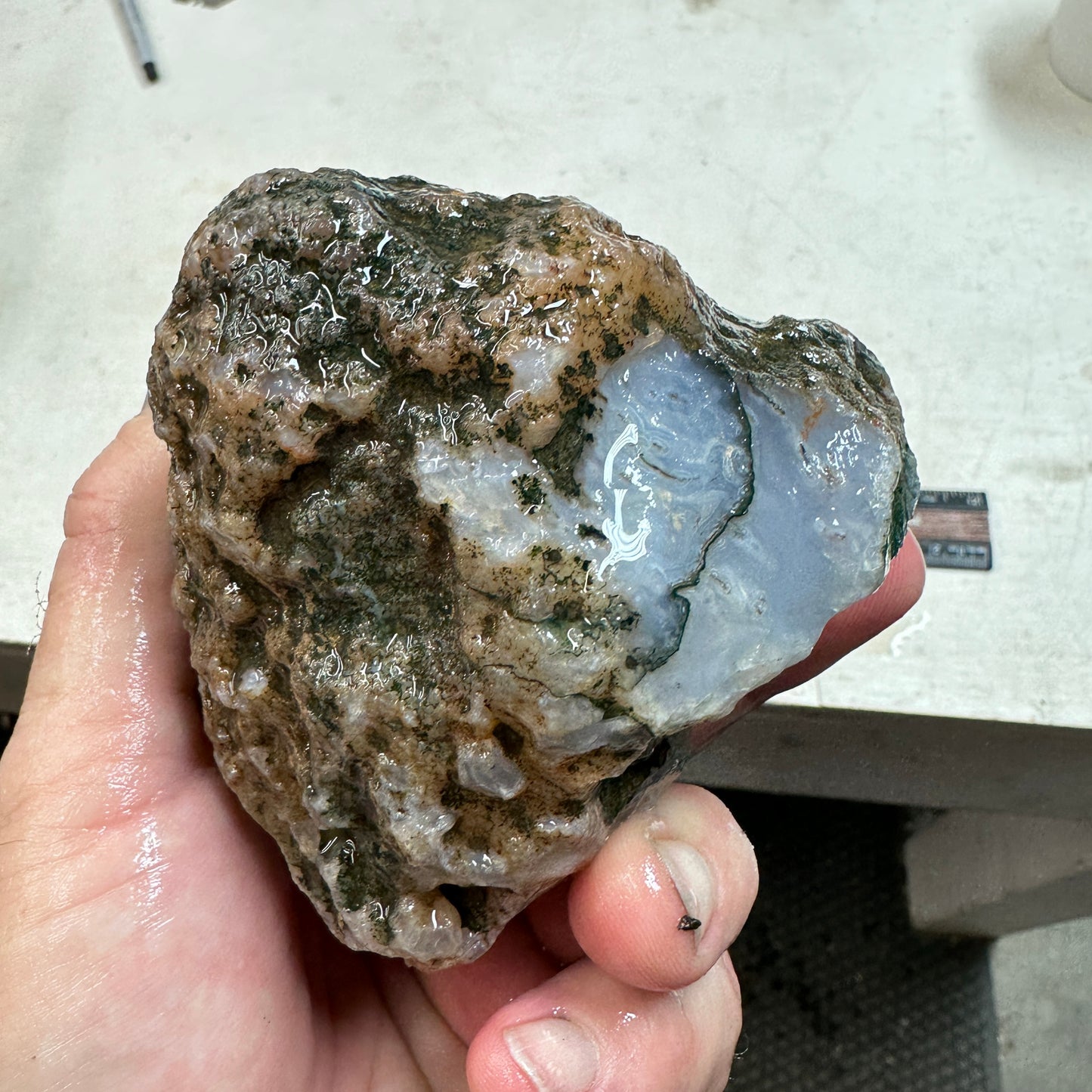 MOROCCAN AHOULI AGATE Rough - 1.95 Pounds