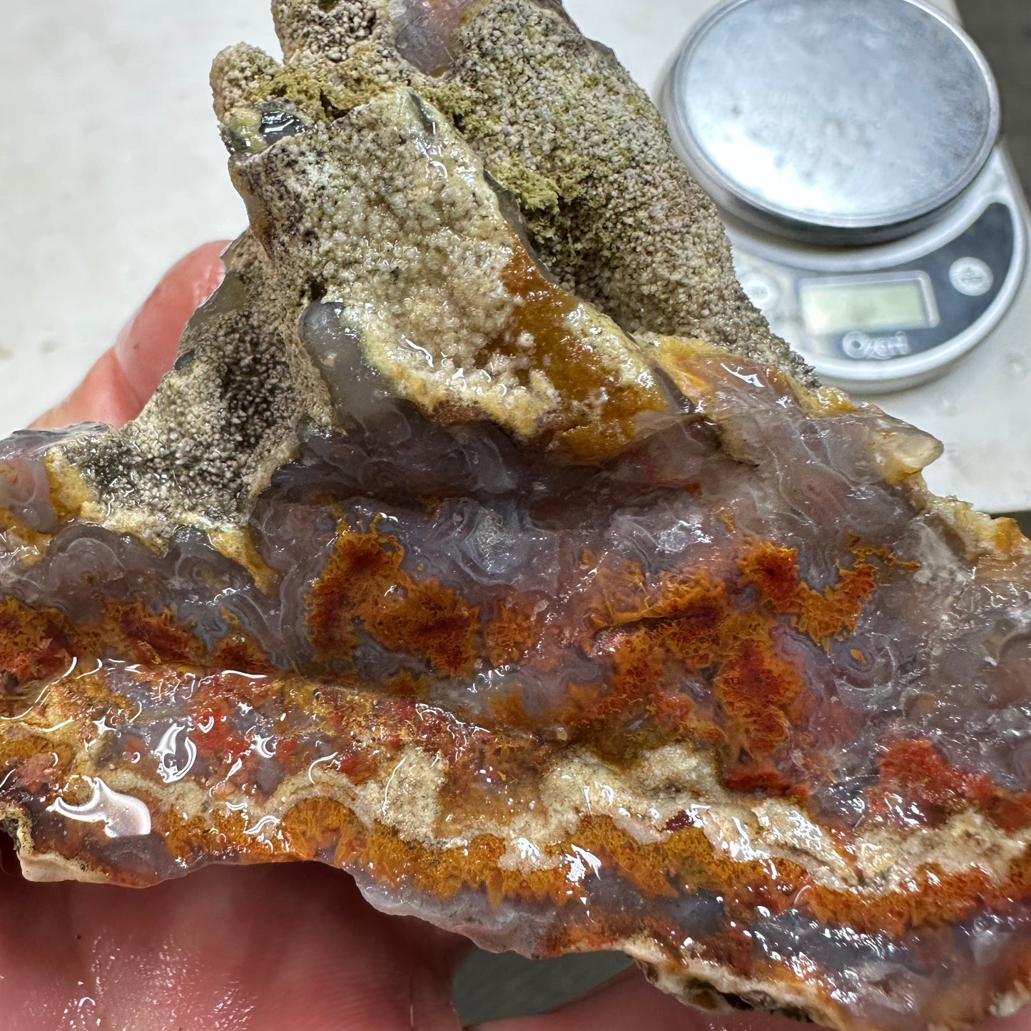 CATHEDRAL AGATE Rough - 0.76 Pounds