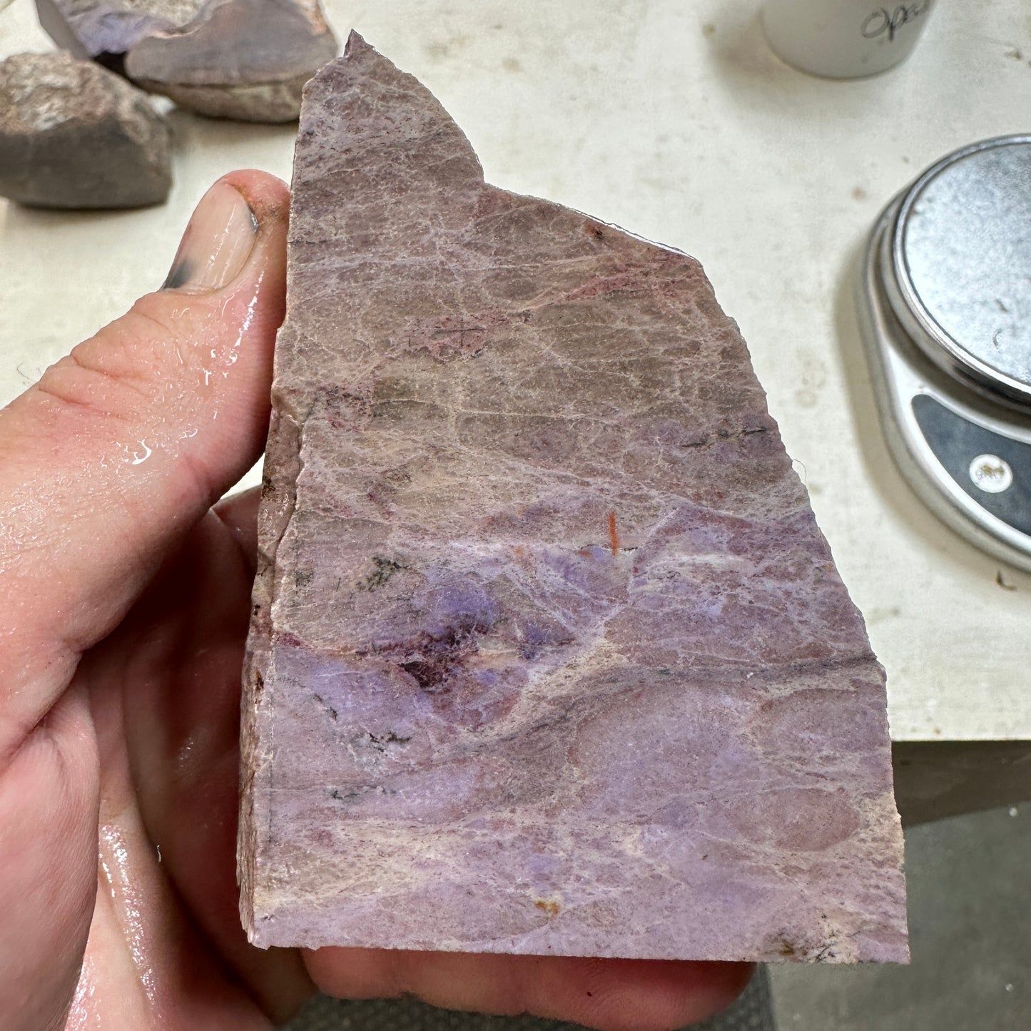 TURKISH PURPLE JADEITE Faced Rough - 1.32 Pounds