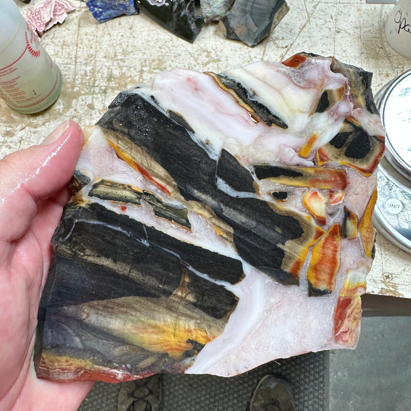 WINDY MOUNTAIN JASPER Slab - 311 grams