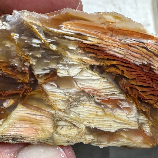 Sunset HOWARDITE Faced Rough - 0.51 pounds